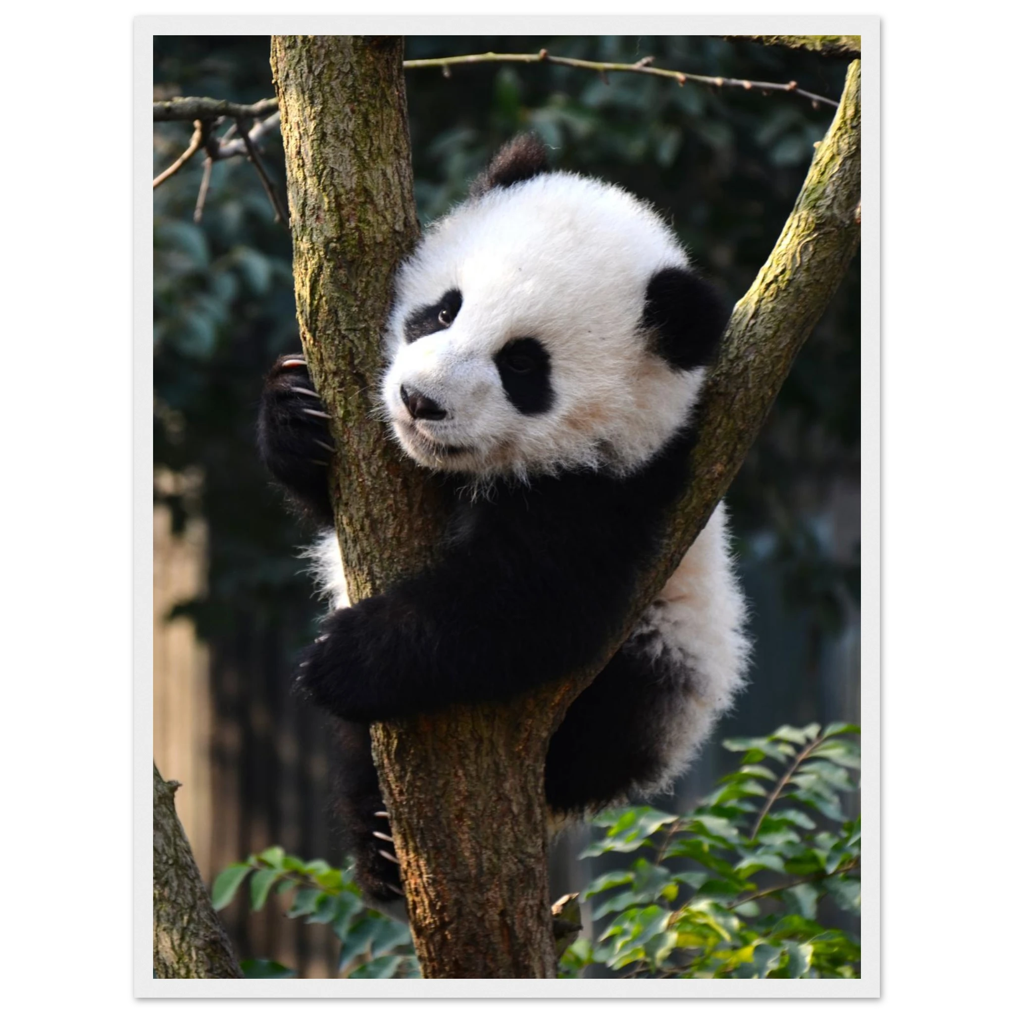 66540eca-9602-4cab-a71e-5a3a6e69745b