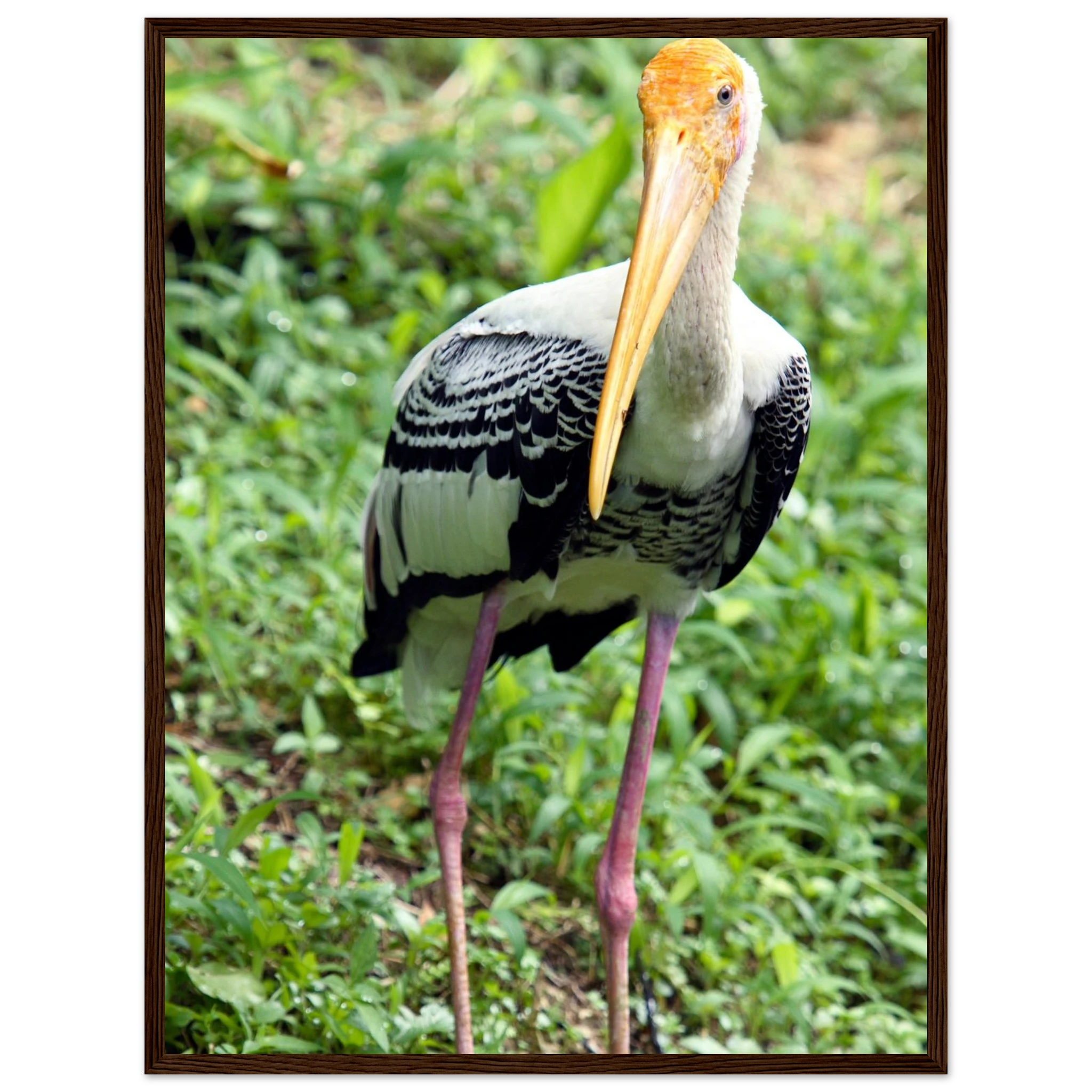 6659d64b-5e51-4a3e-bb5d-971104b6c4fa