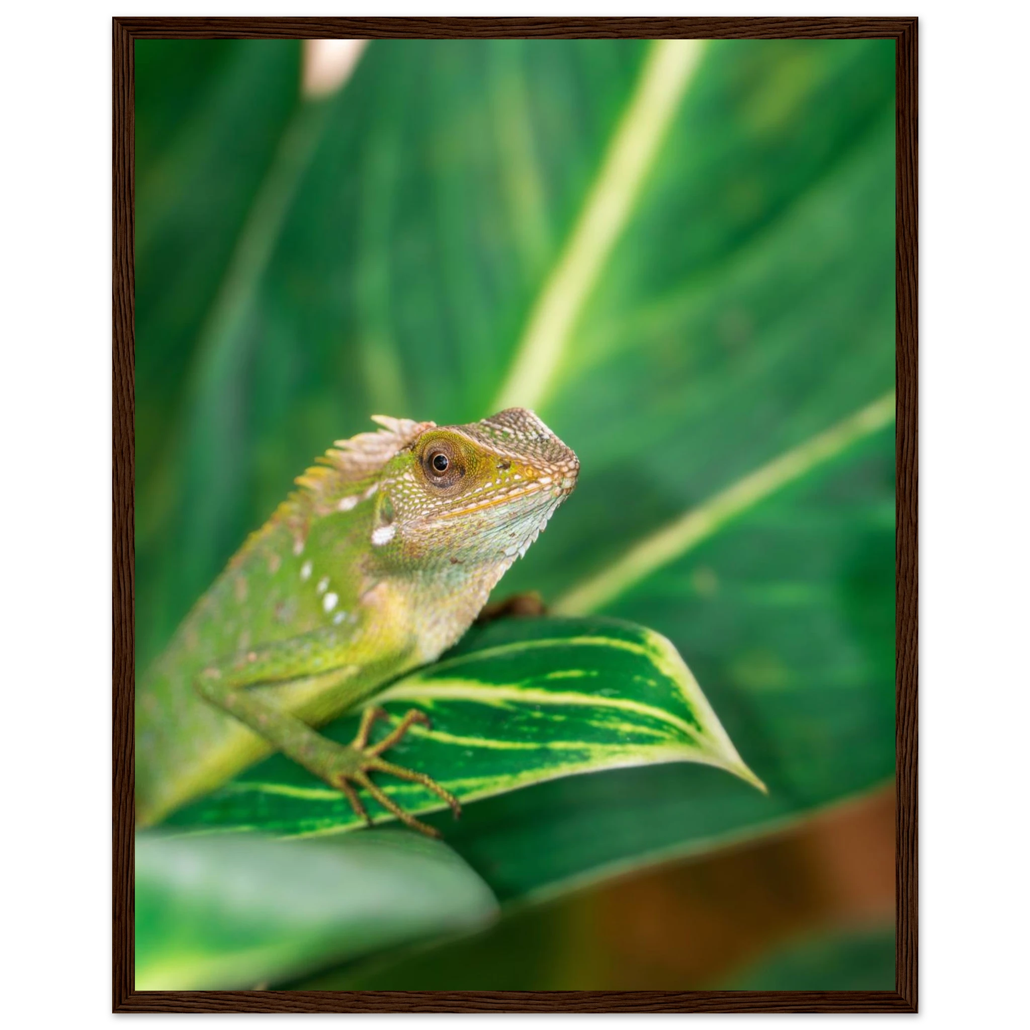 665cc3e9-4857-421c-912b-ce3fdf33e324