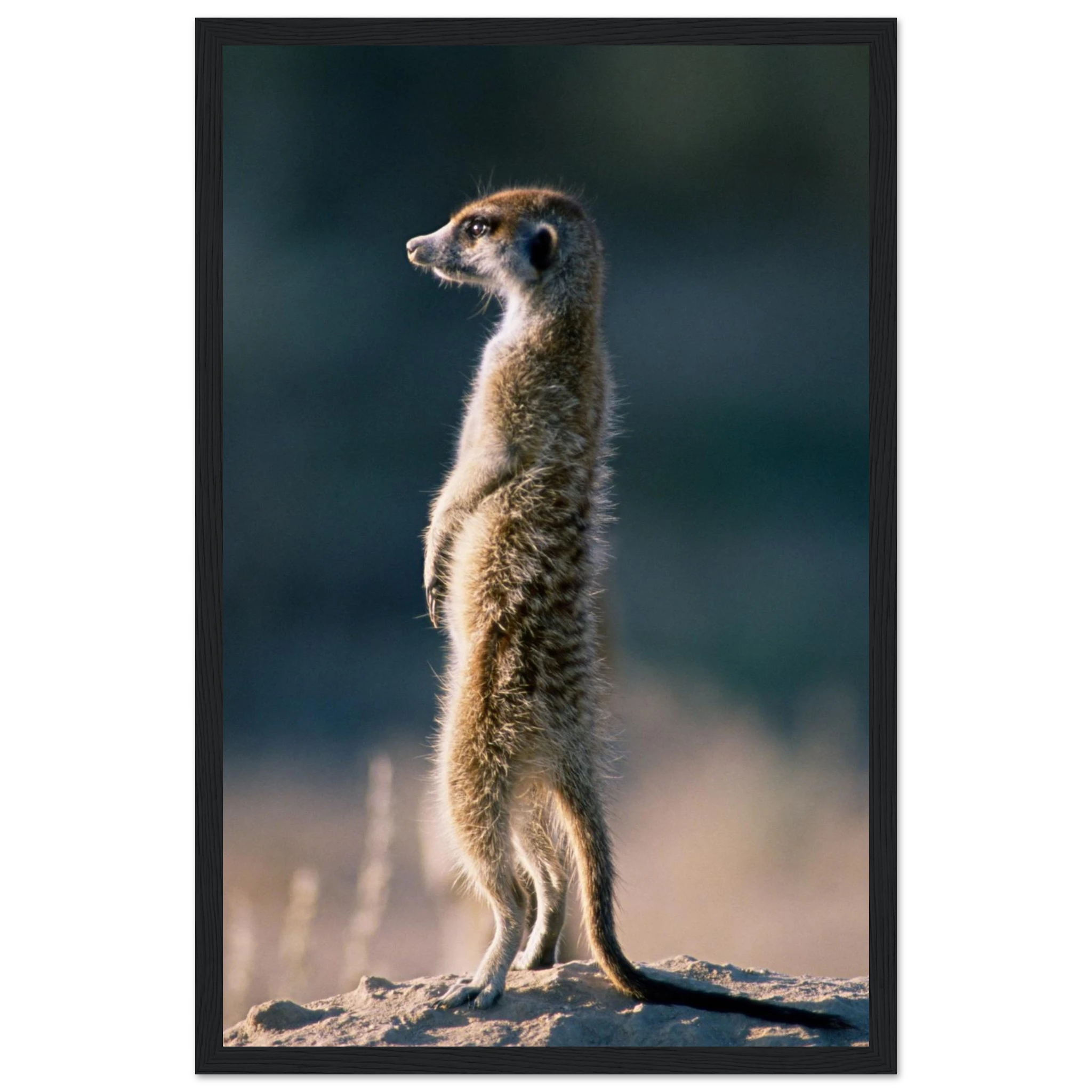 6682e15f-1741-4da8-97fb-8aad92d6c0b0