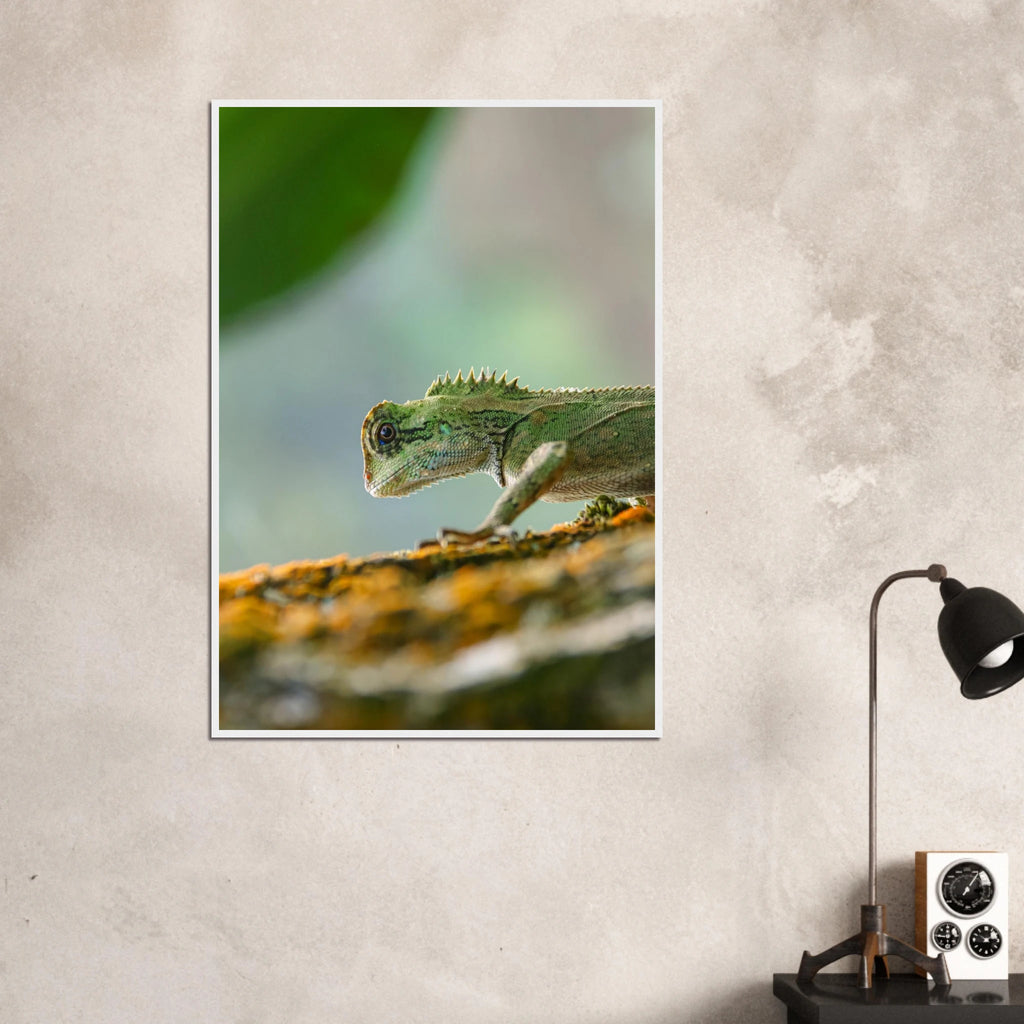 66853a3e-e1e6-4bb5-a7ad-366f30a2024b