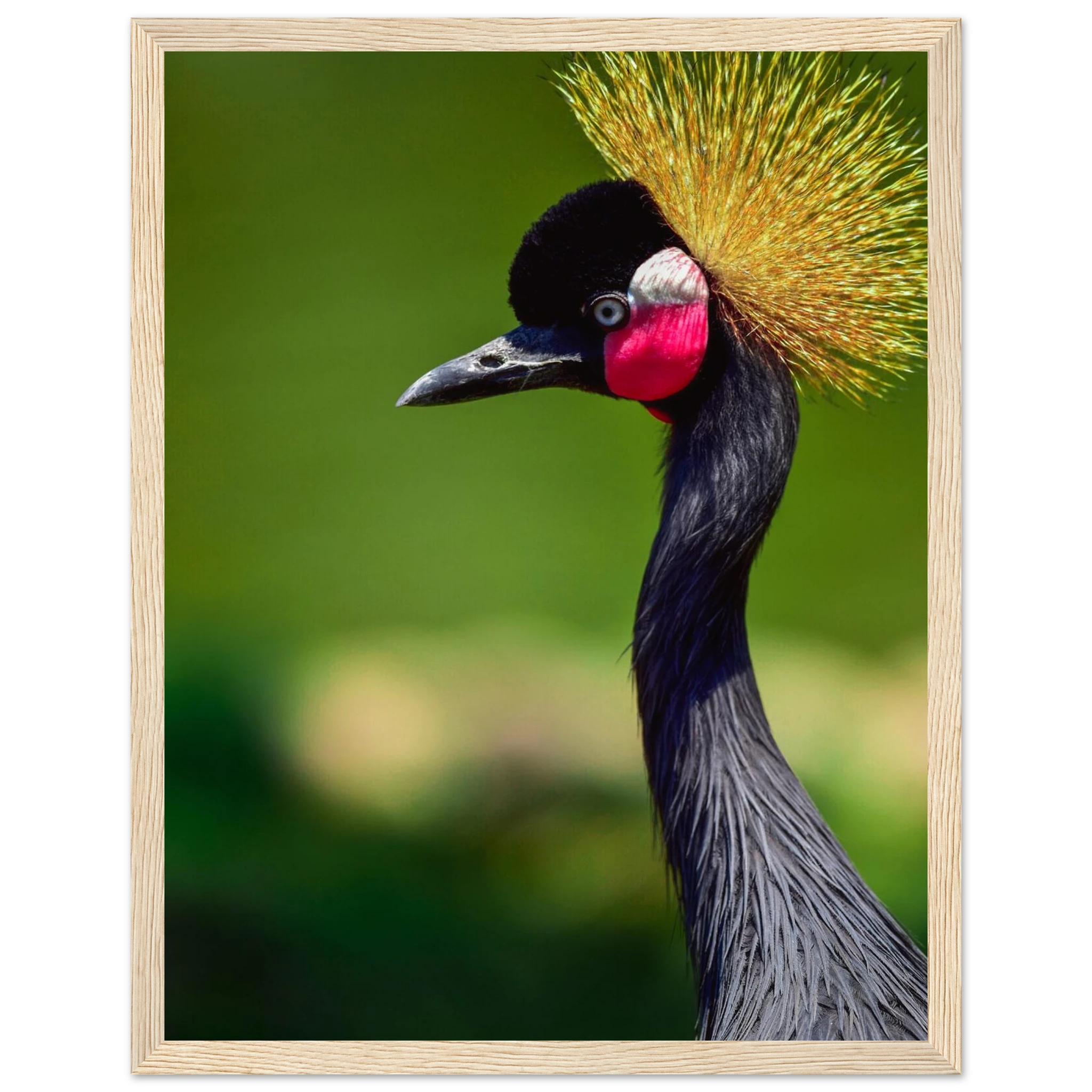 67419276-9e4b-47ec-91a3-4a54f5694fc5