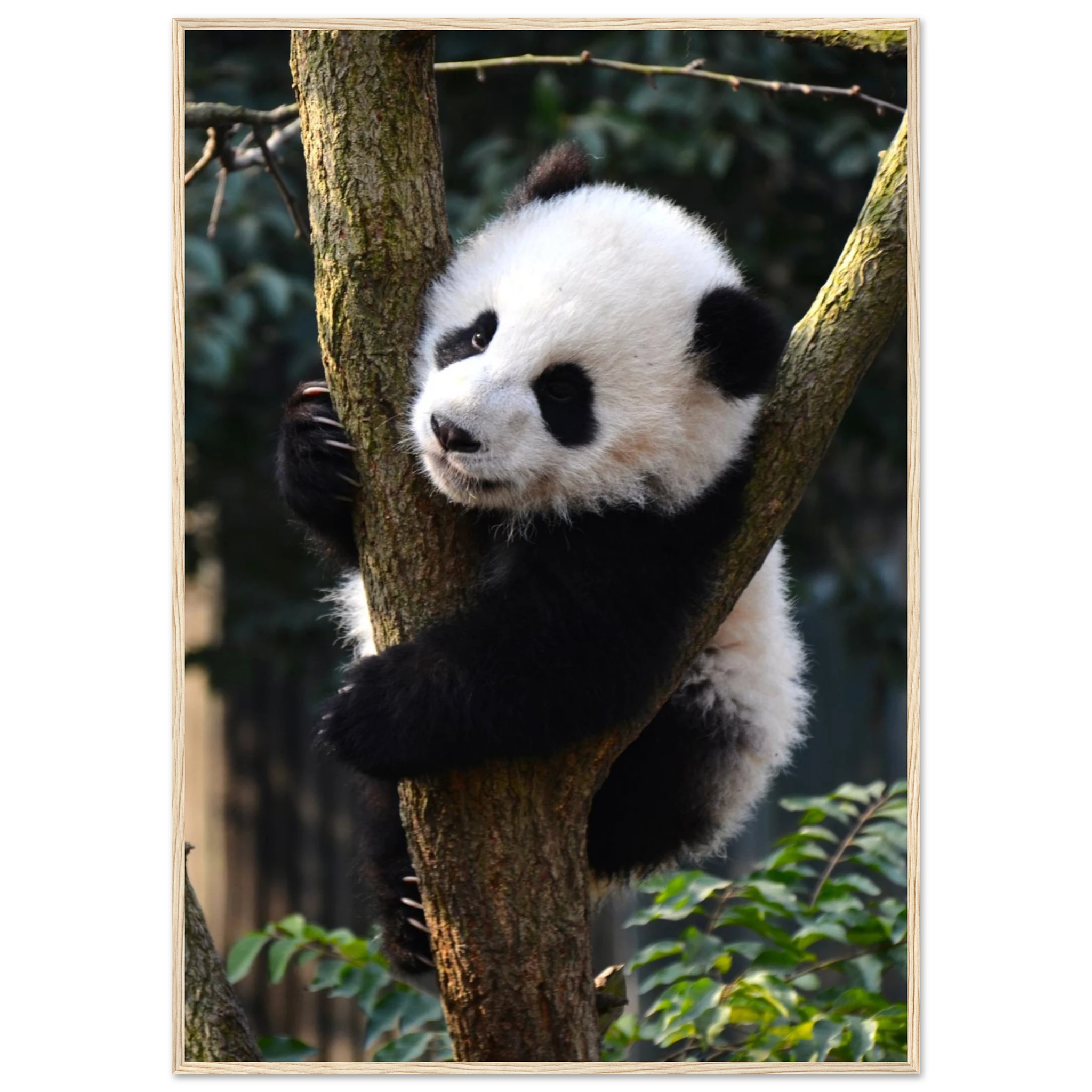 6752800a-ed65-43e2-9def-a0bdfc4b3825