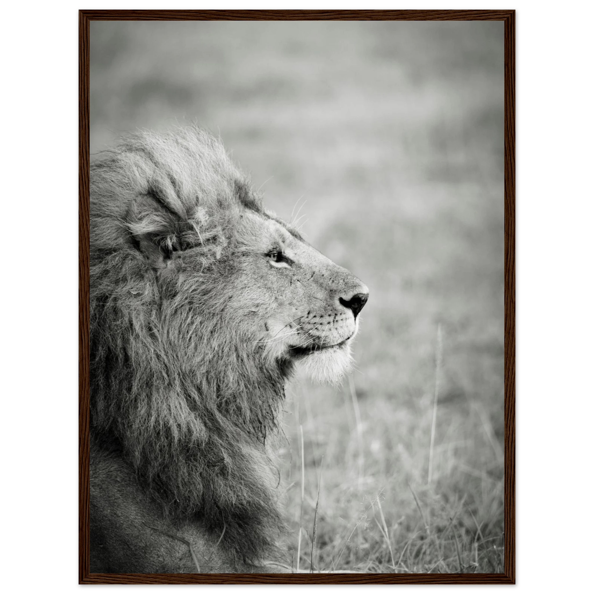 67531d3a-3be8-49a8-b78c-f62bbd0c6ba0