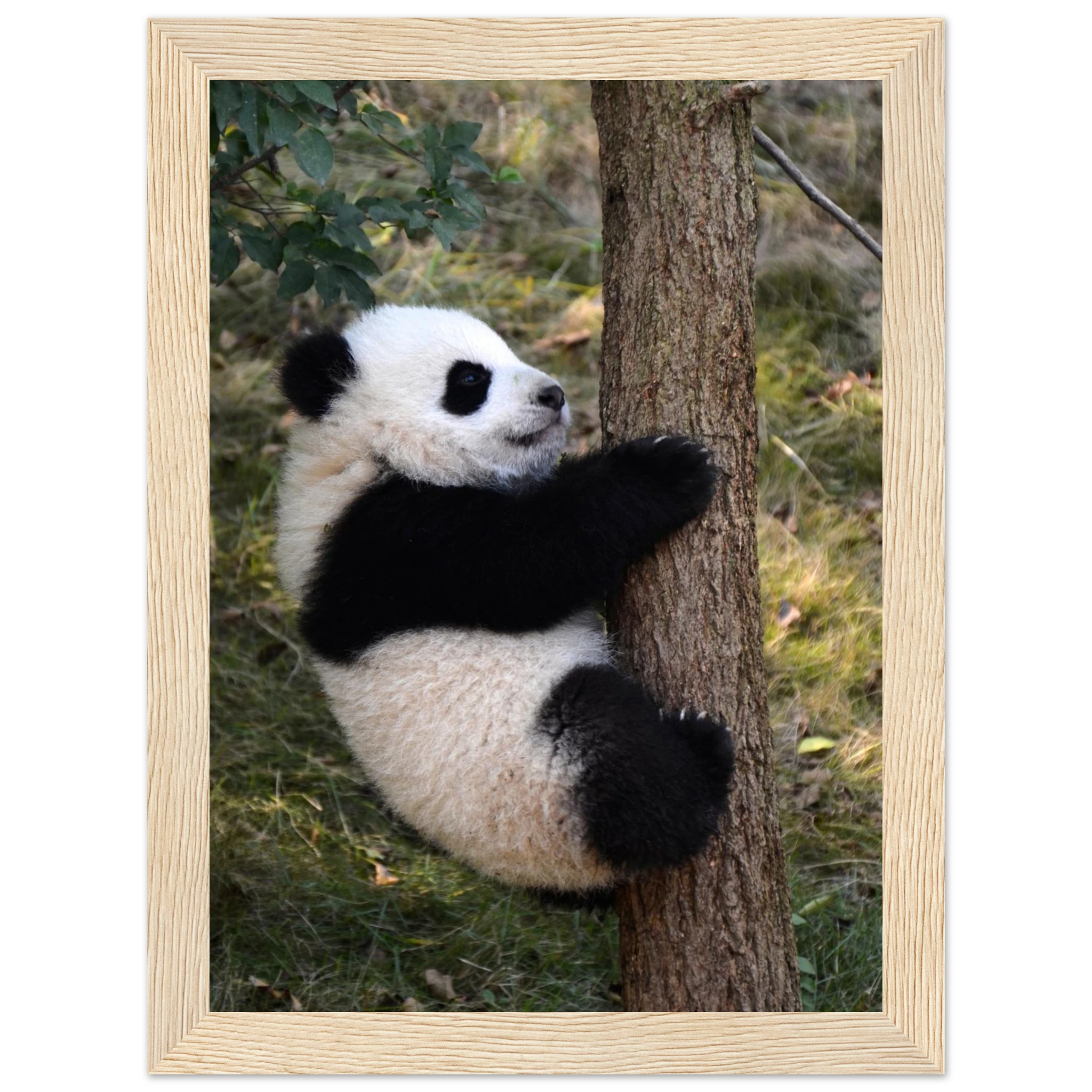 67723b5d-9e08-42a8-b992-5c5f290b9794