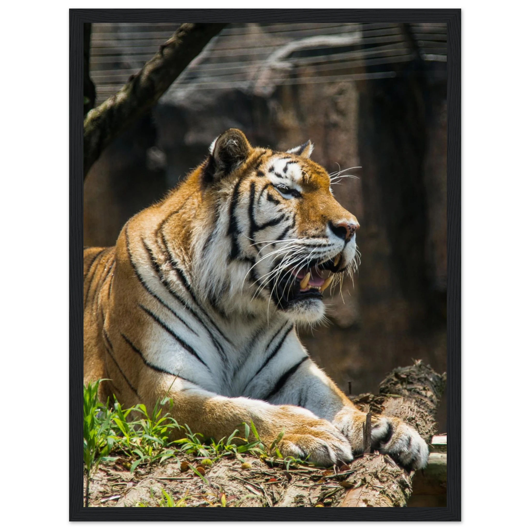 6775c2f0-c0f7-4c51-ac13-a605d5cb03e0