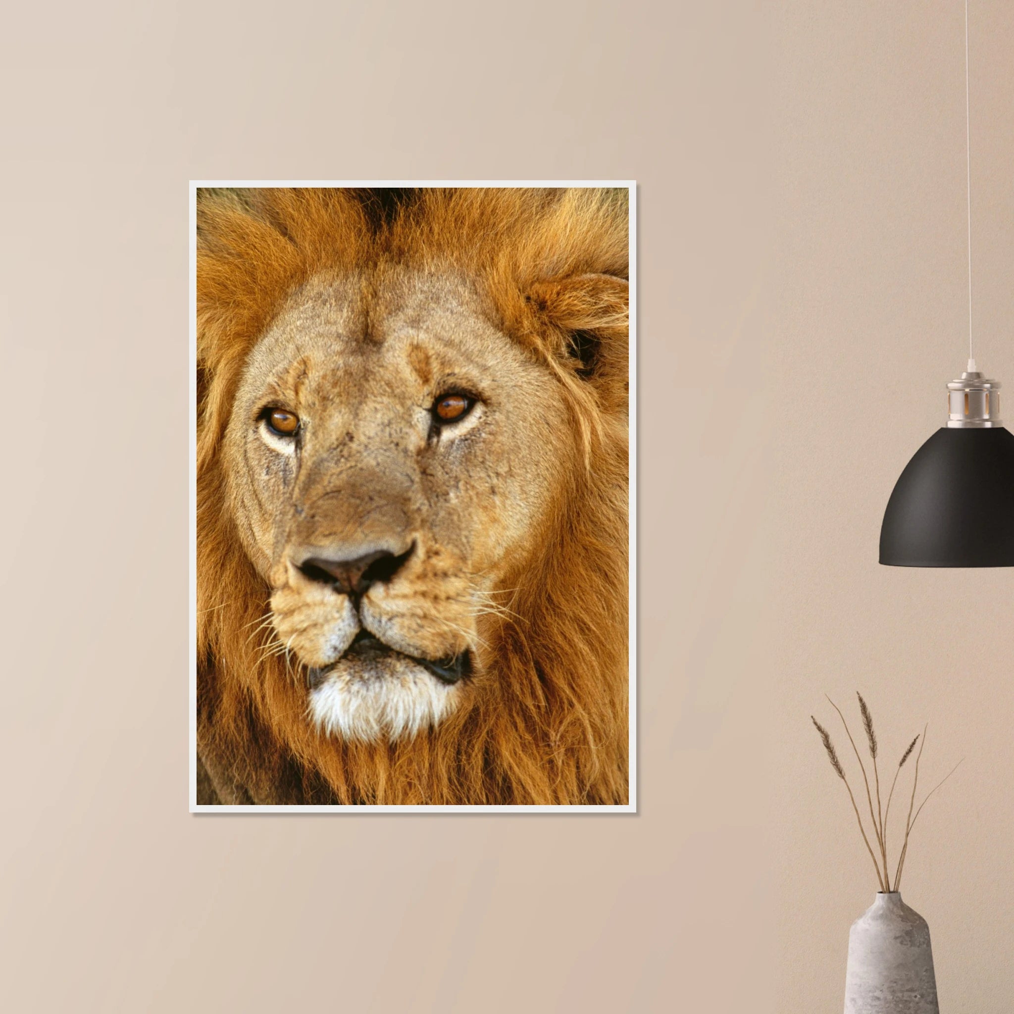 6781b63b-a9cd-4944-8ab2-99f332d4b089