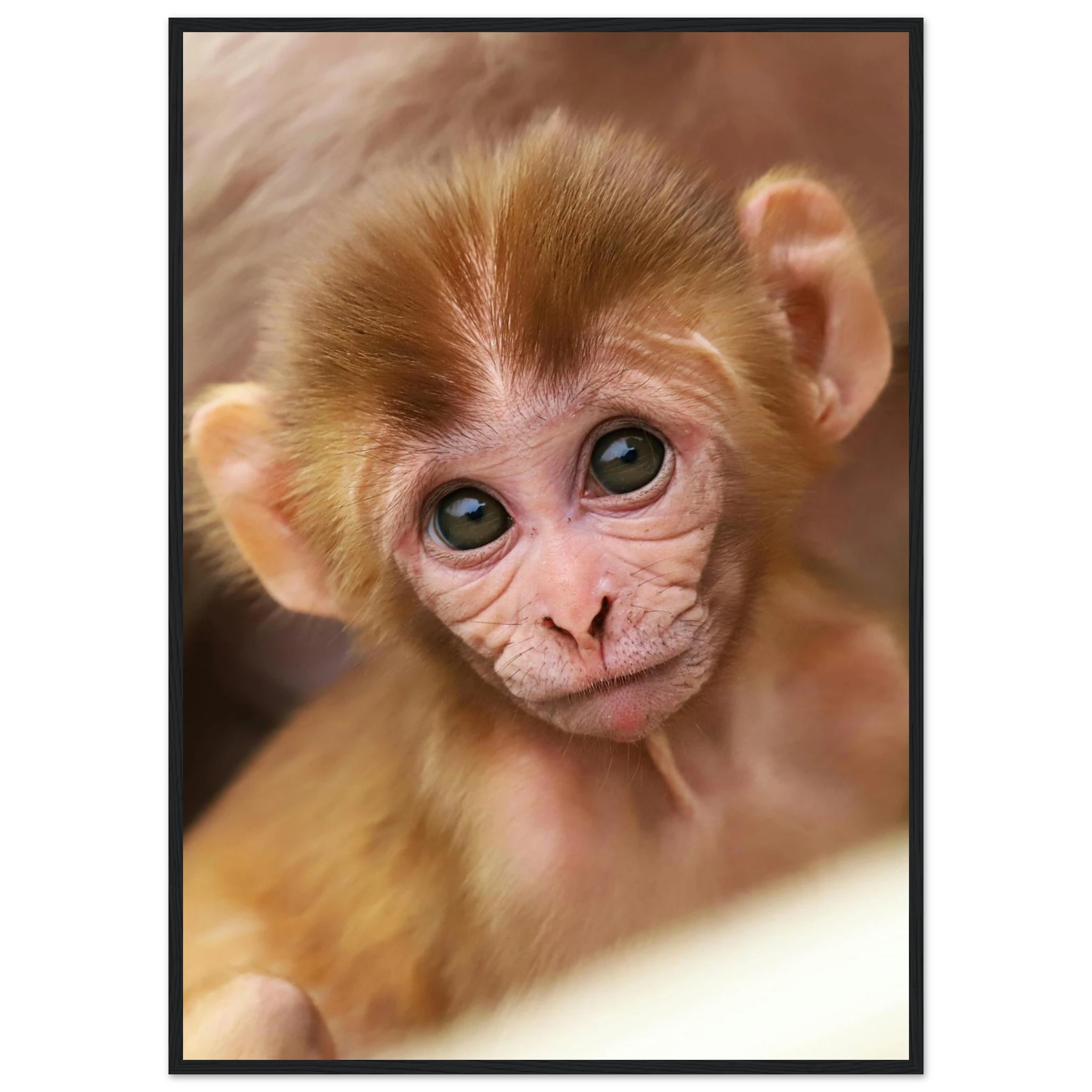 6784304f-93c6-4b93-805c-5fa3363a4e5b