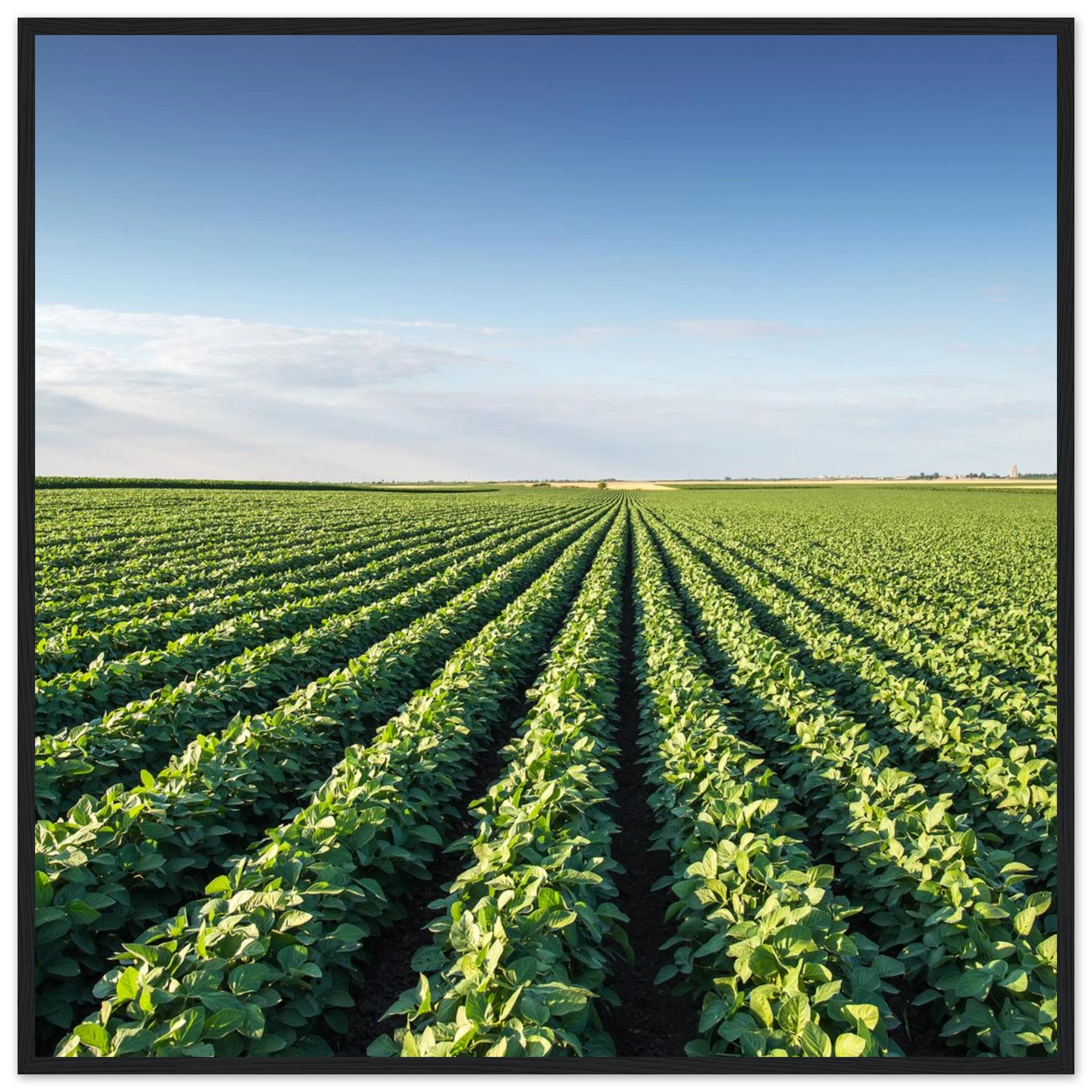 679c9bb3-c566-4d8e-92d5-1d57484927b0