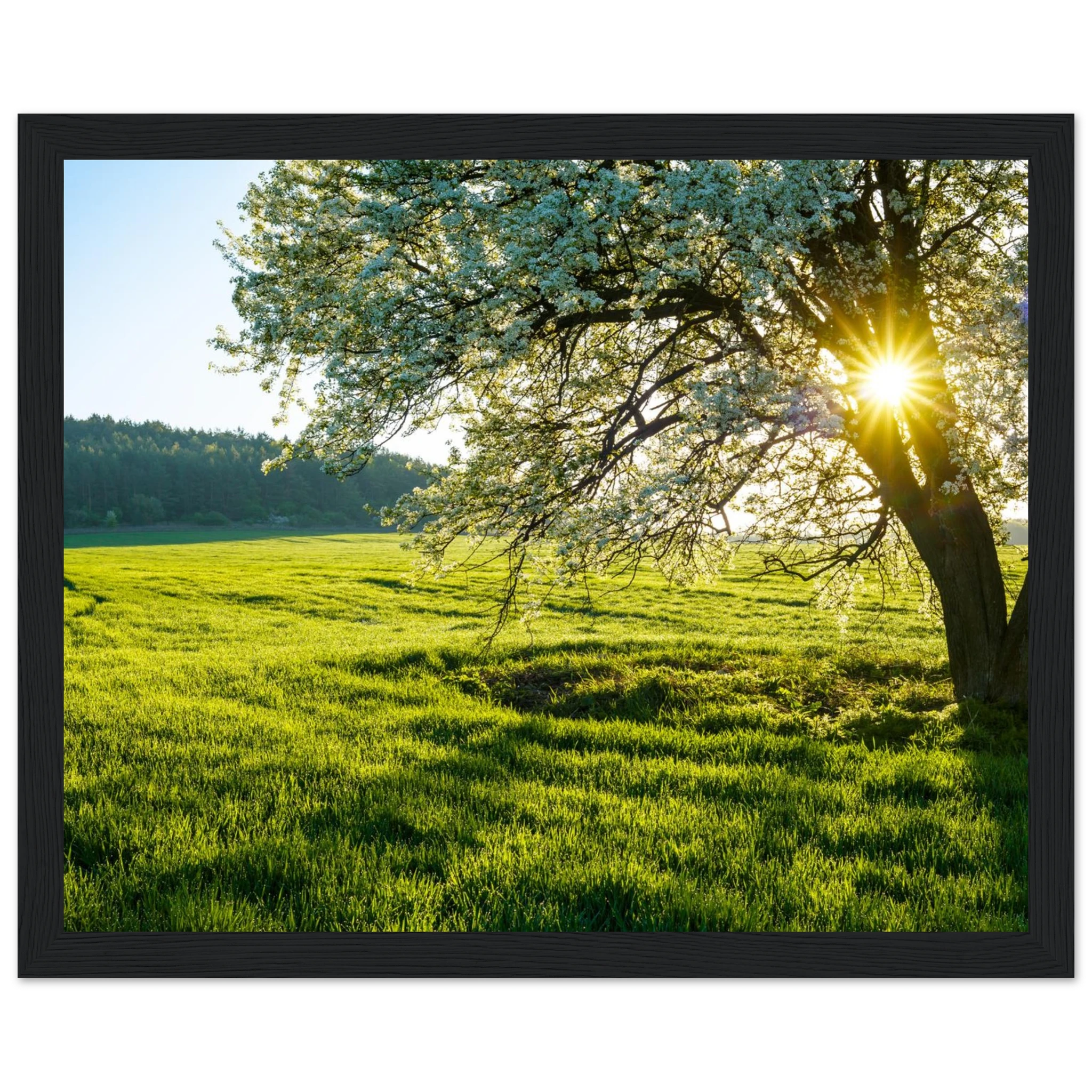 67a68844-fa6c-4452-aeaf-43d256fefbcc