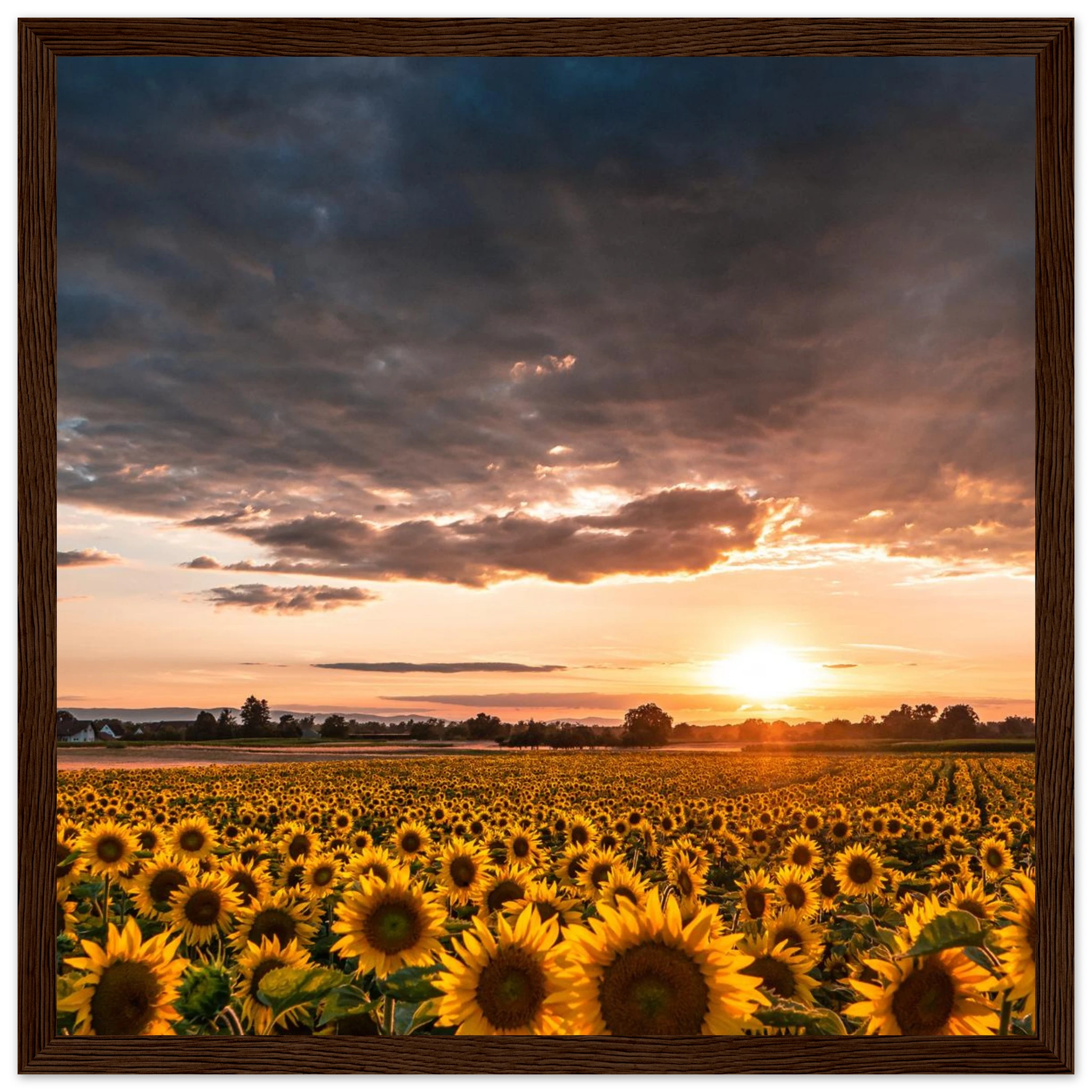 67b6c5fa-9657-4ba2-91a4-aff0c36adecc