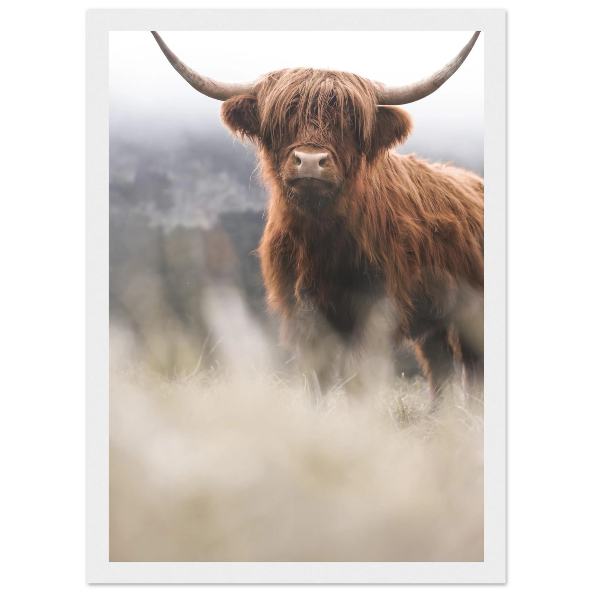 67c64f7f-09b5-41f7-b6f5-d92d57179f73