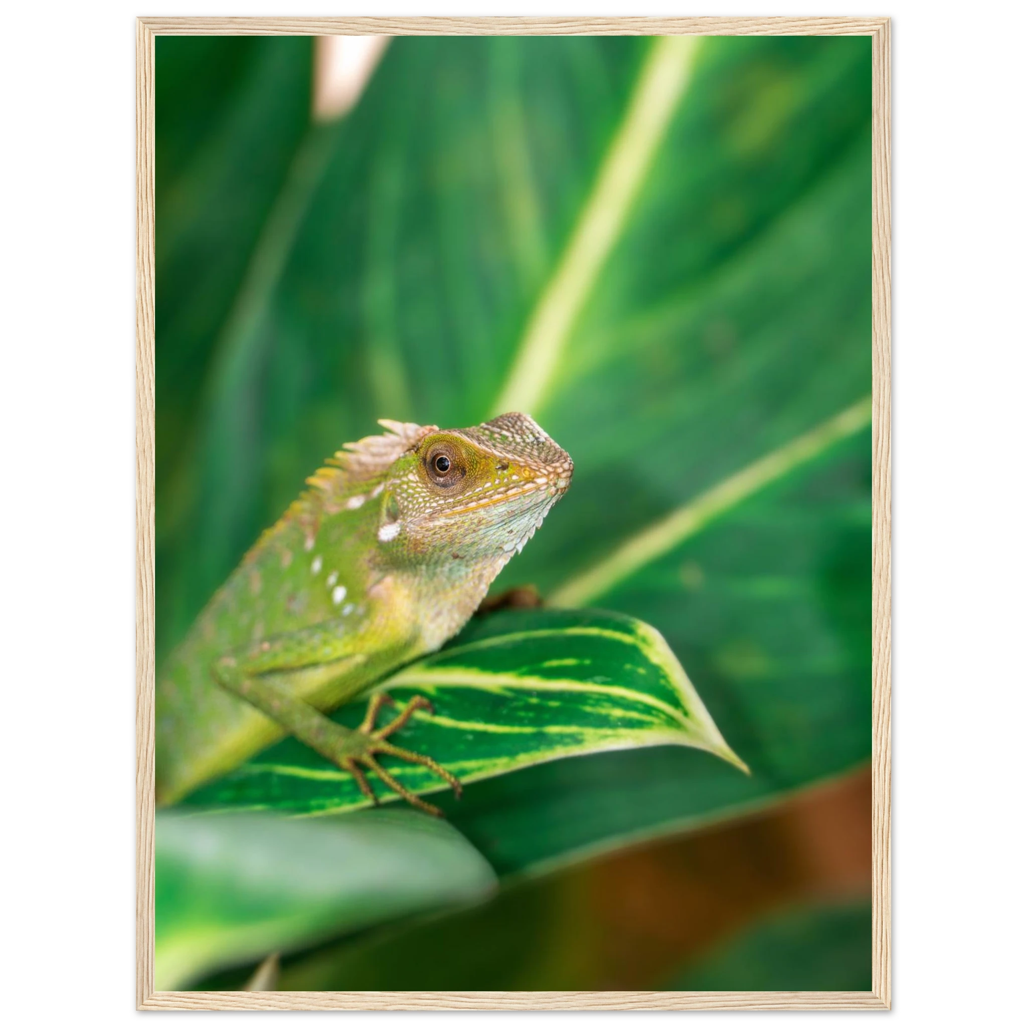 67cfcf41-2b5d-4647-8e05-36f45234076c