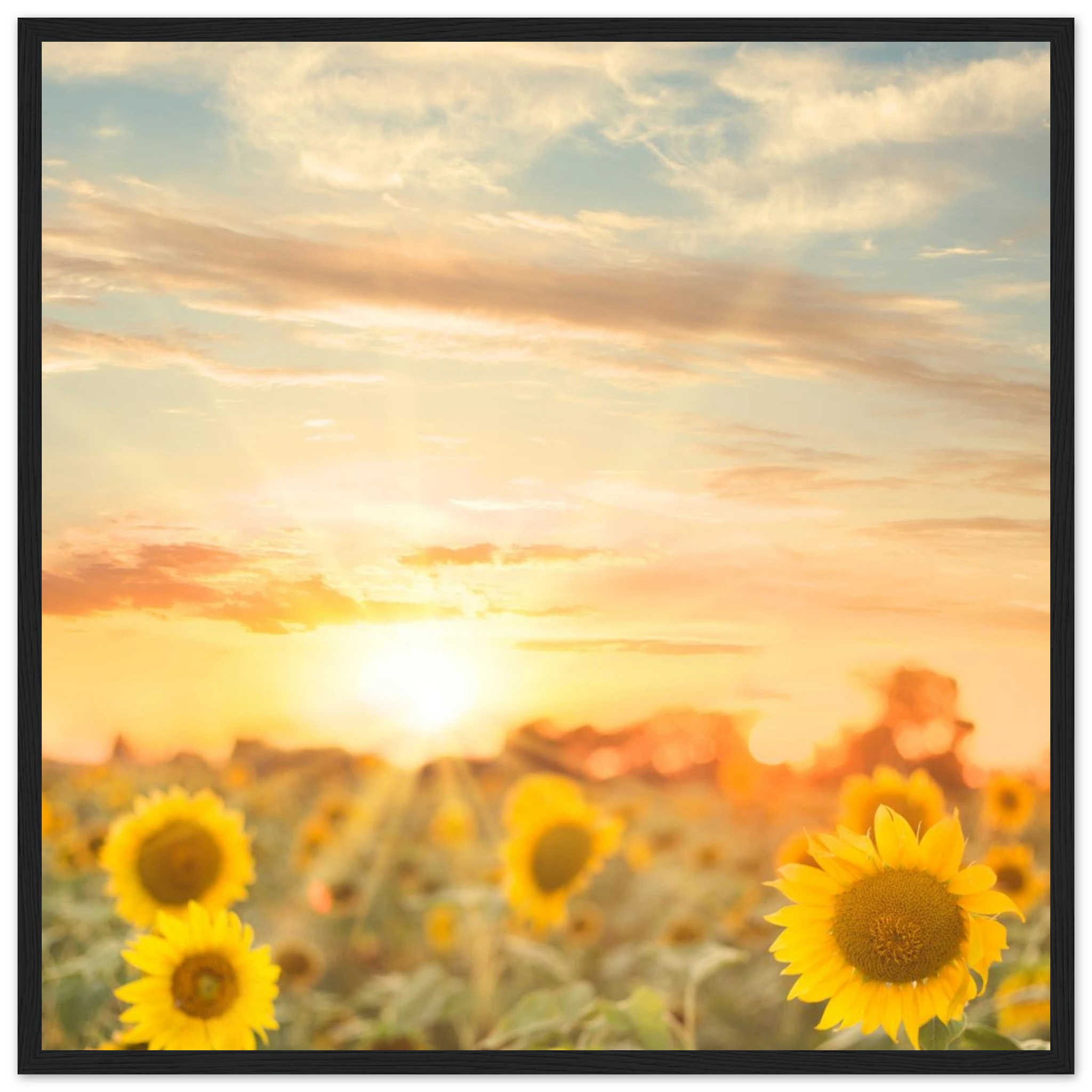 67d130f3-7a1d-43a5-a712-b1dcb6bad604