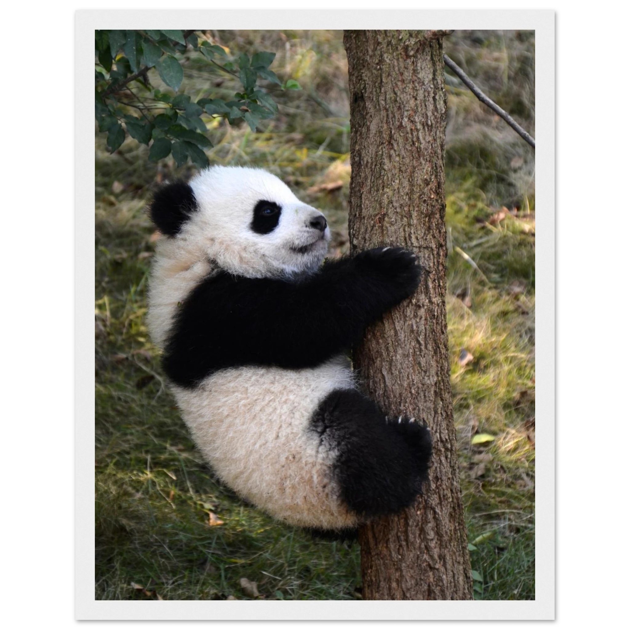 67d3691f-f75b-418a-b964-38848654b9d1