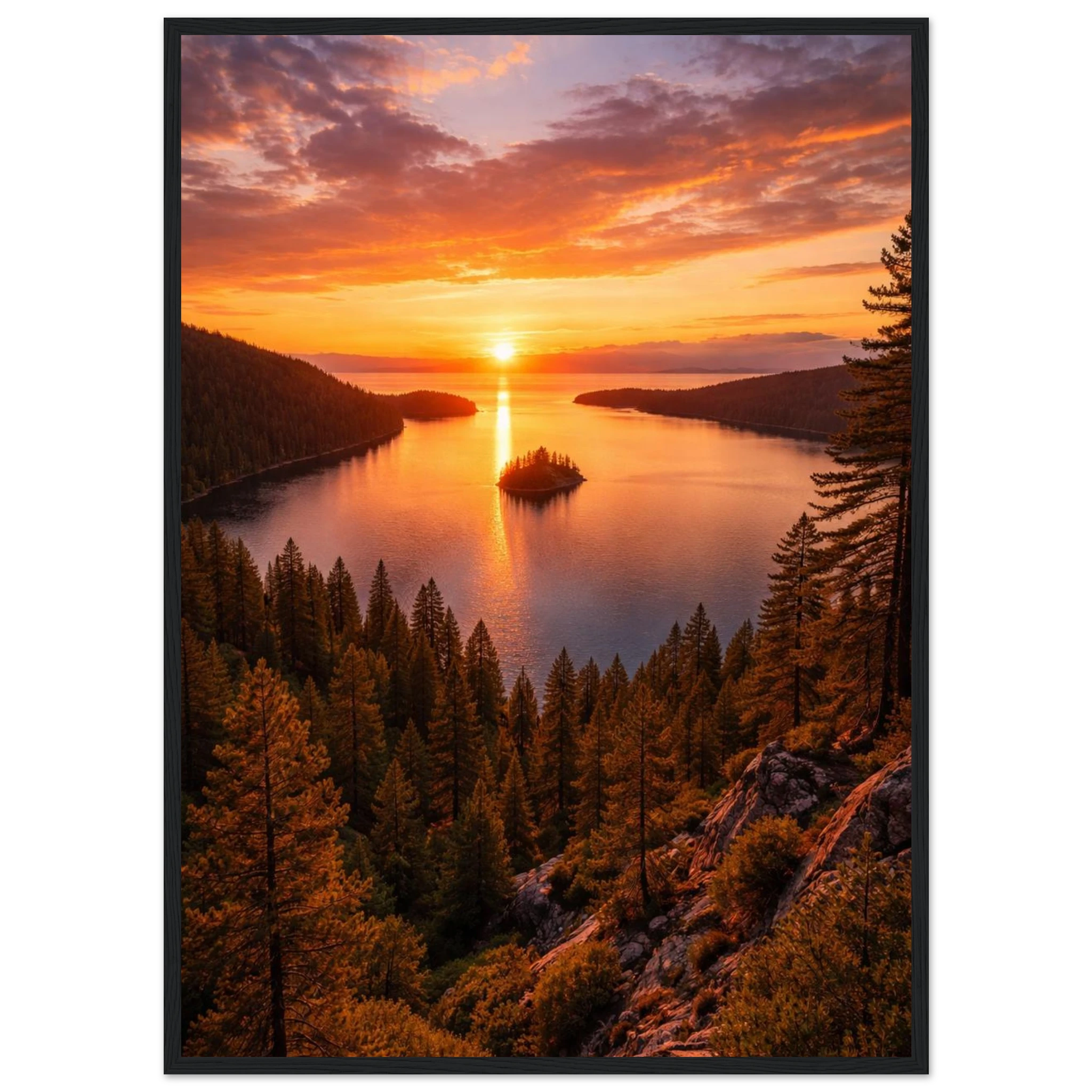 67e17230-ba3d-4164-8f42-e598d6f10c95