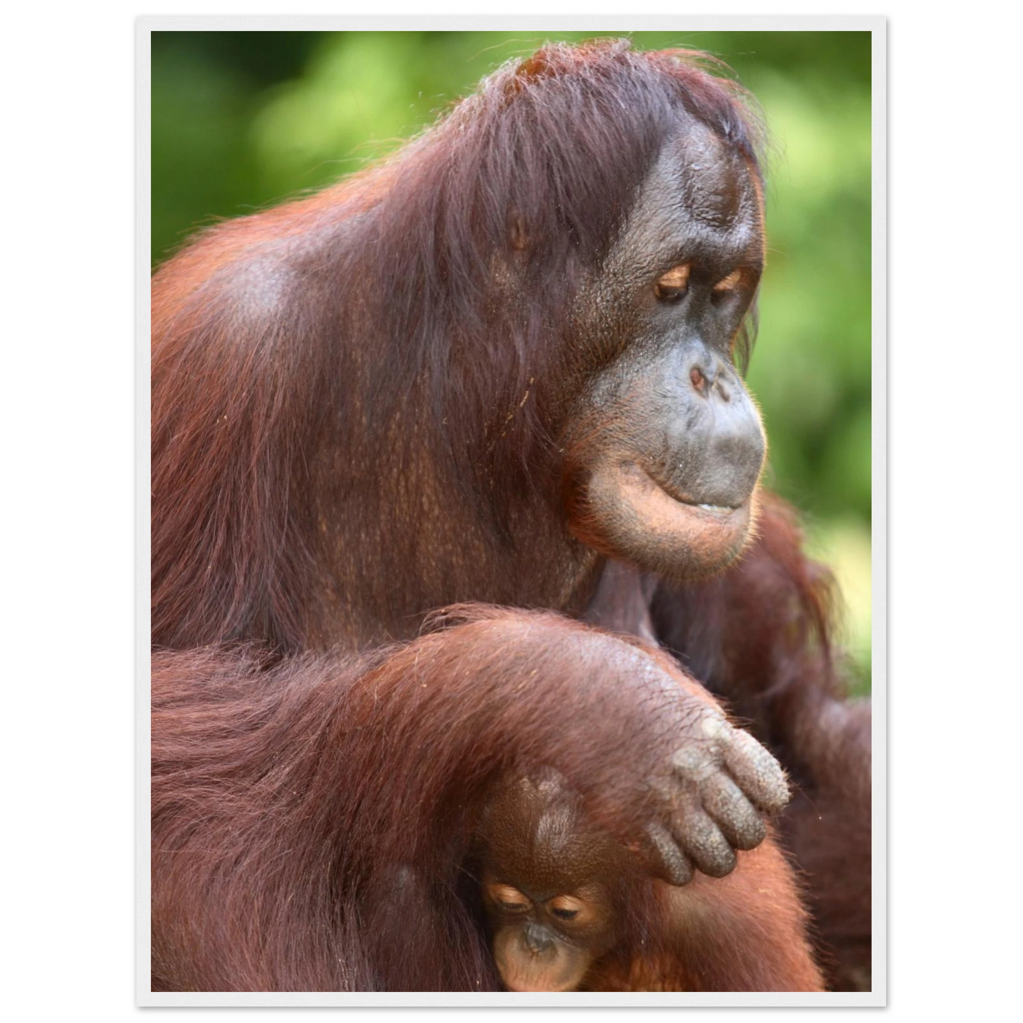 67f0a195-18bf-42ad-848e-d9a451ea37a5