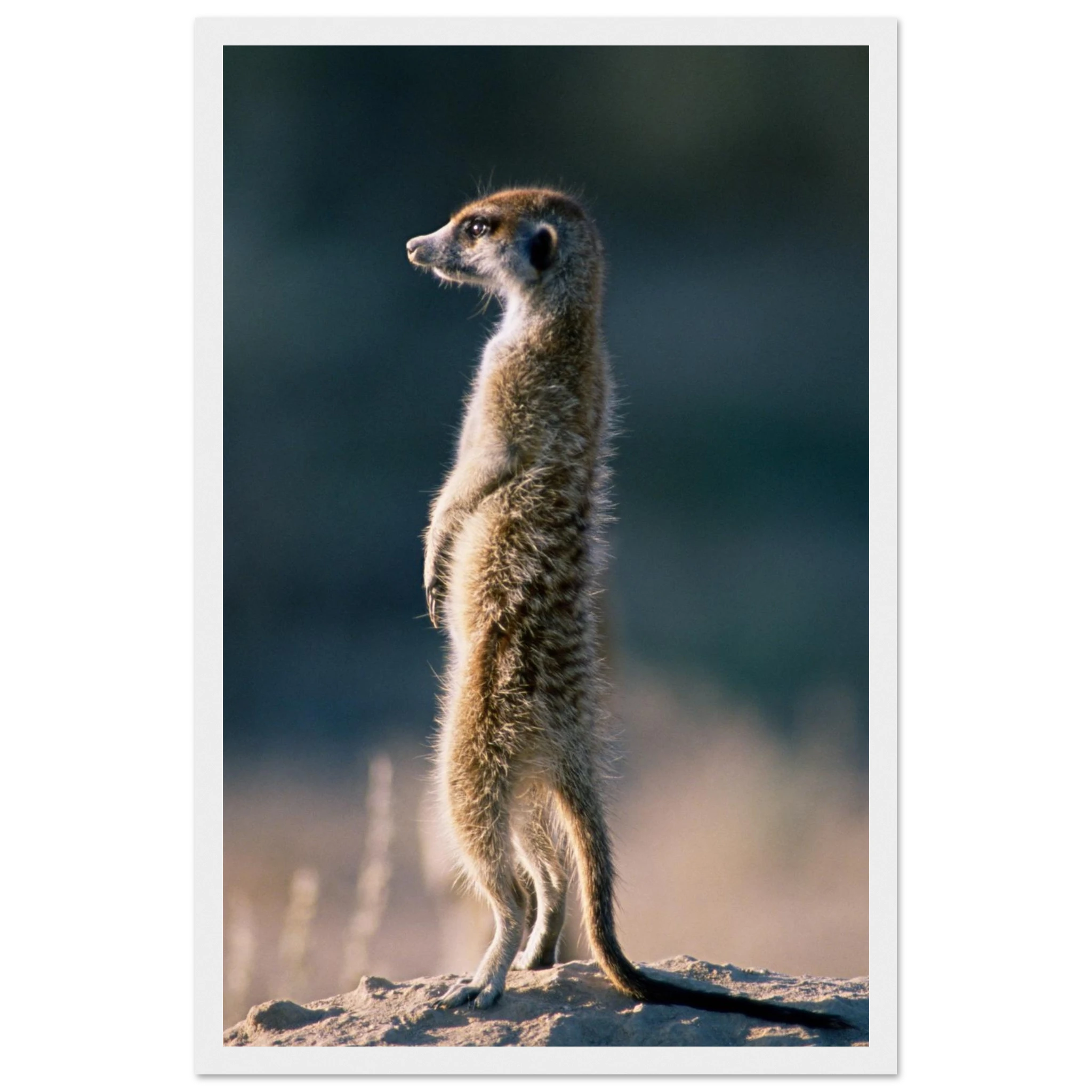 67faa528-2352-4968-8d6f-b0d88cd31b87