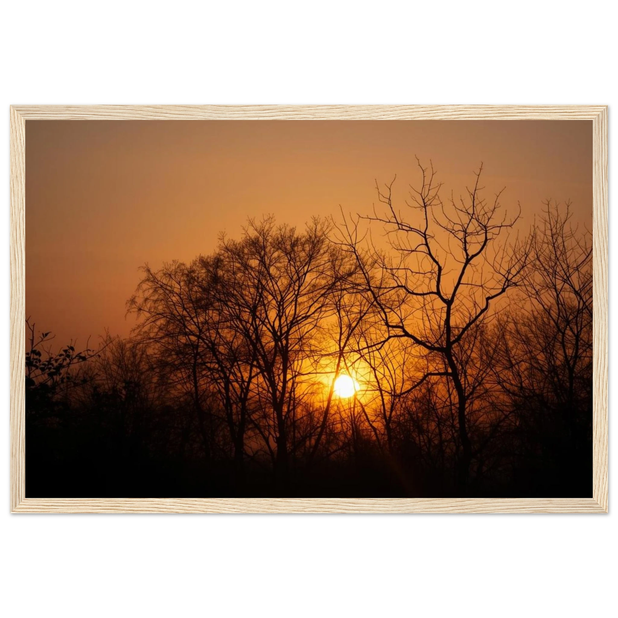 67ff15e4-f7e2-4f12-9ca9-1a7d60000eab