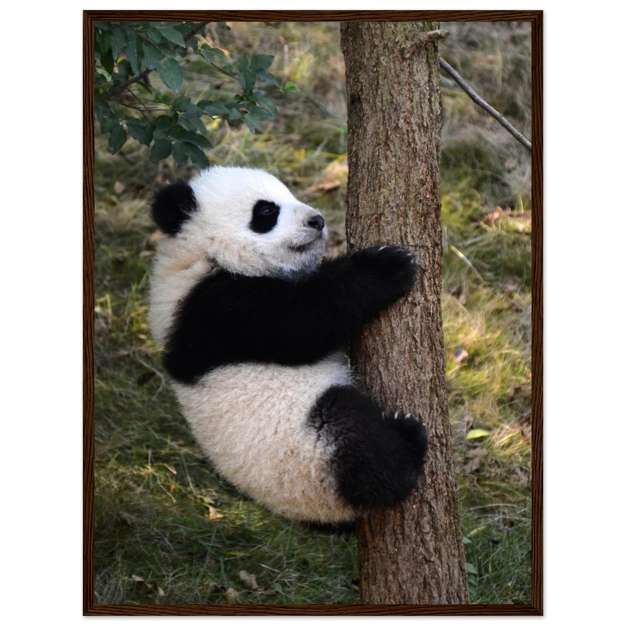 681af2fa-0e9b-451f-a2f8-ab46b54ce178