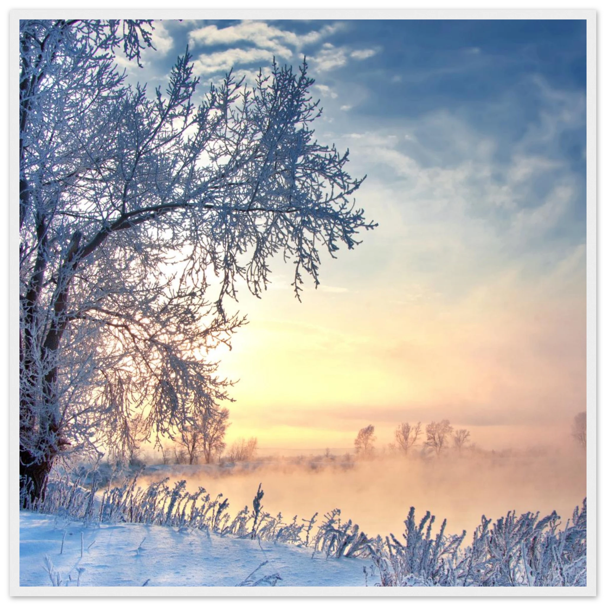 681f1bff-4340-471a-8072-f0f78fe1948a