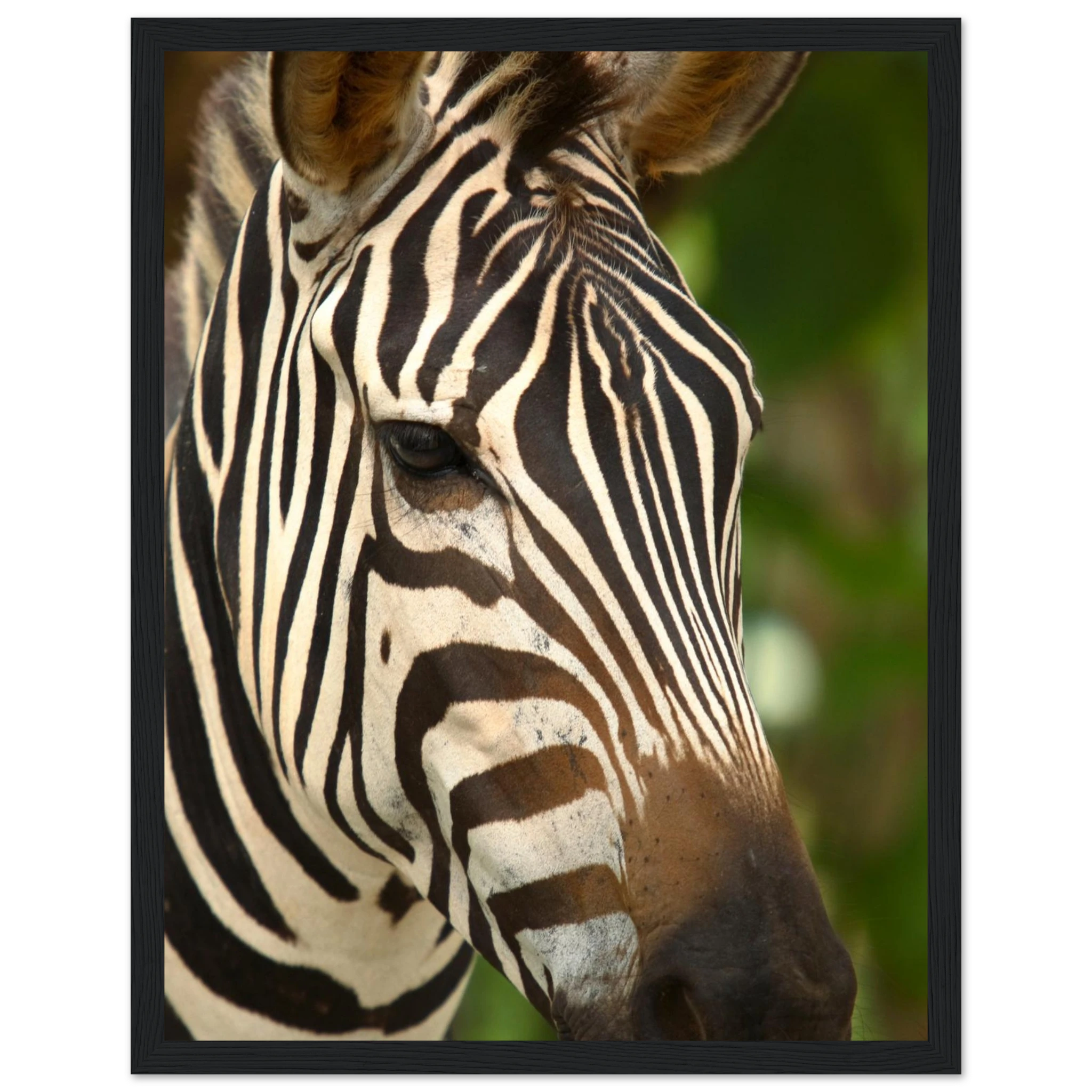 6862251a-0611-478e-a2f1-8e20a6d03b43