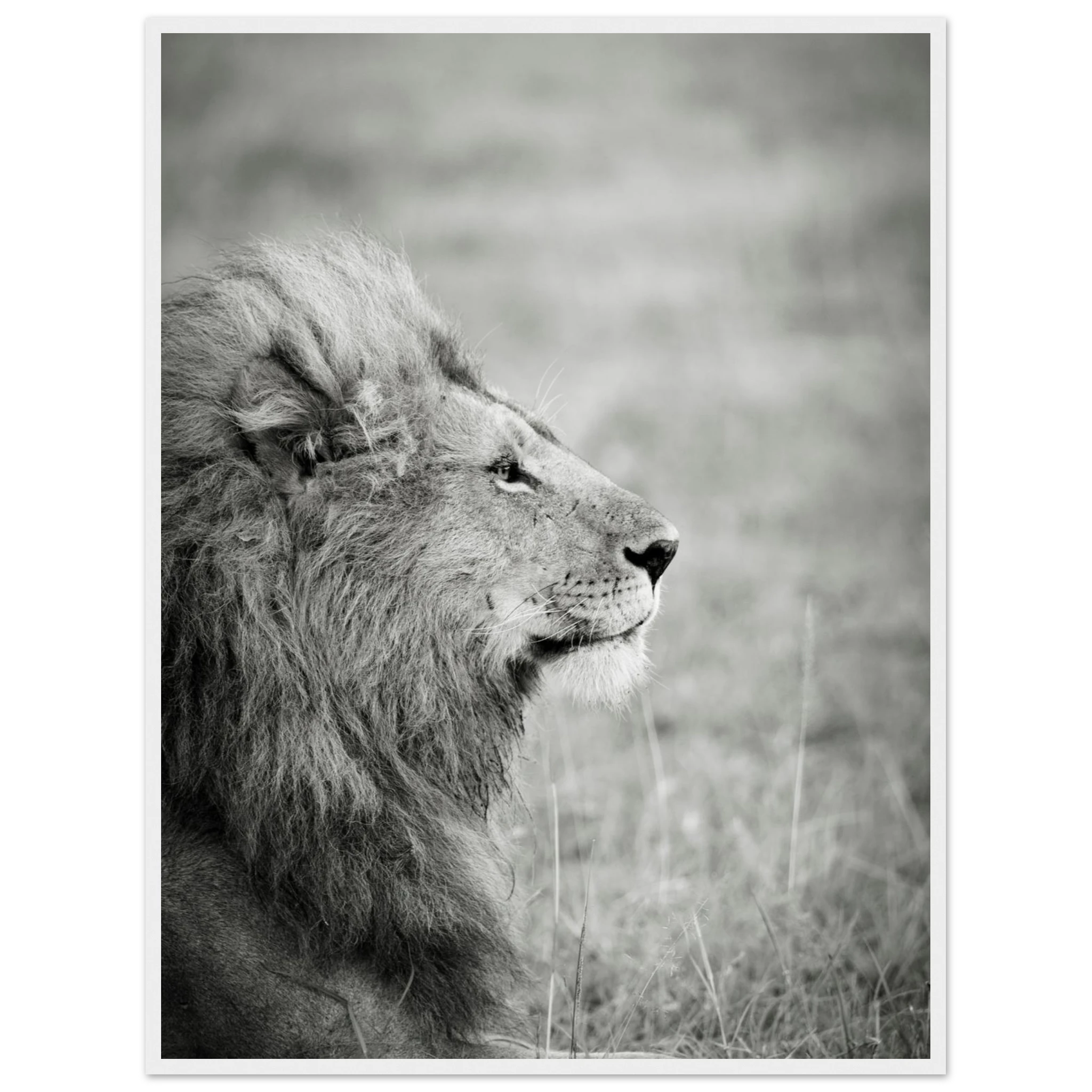 6864fb76-9ce9-4771-843c-4a0ca4ec7f0d