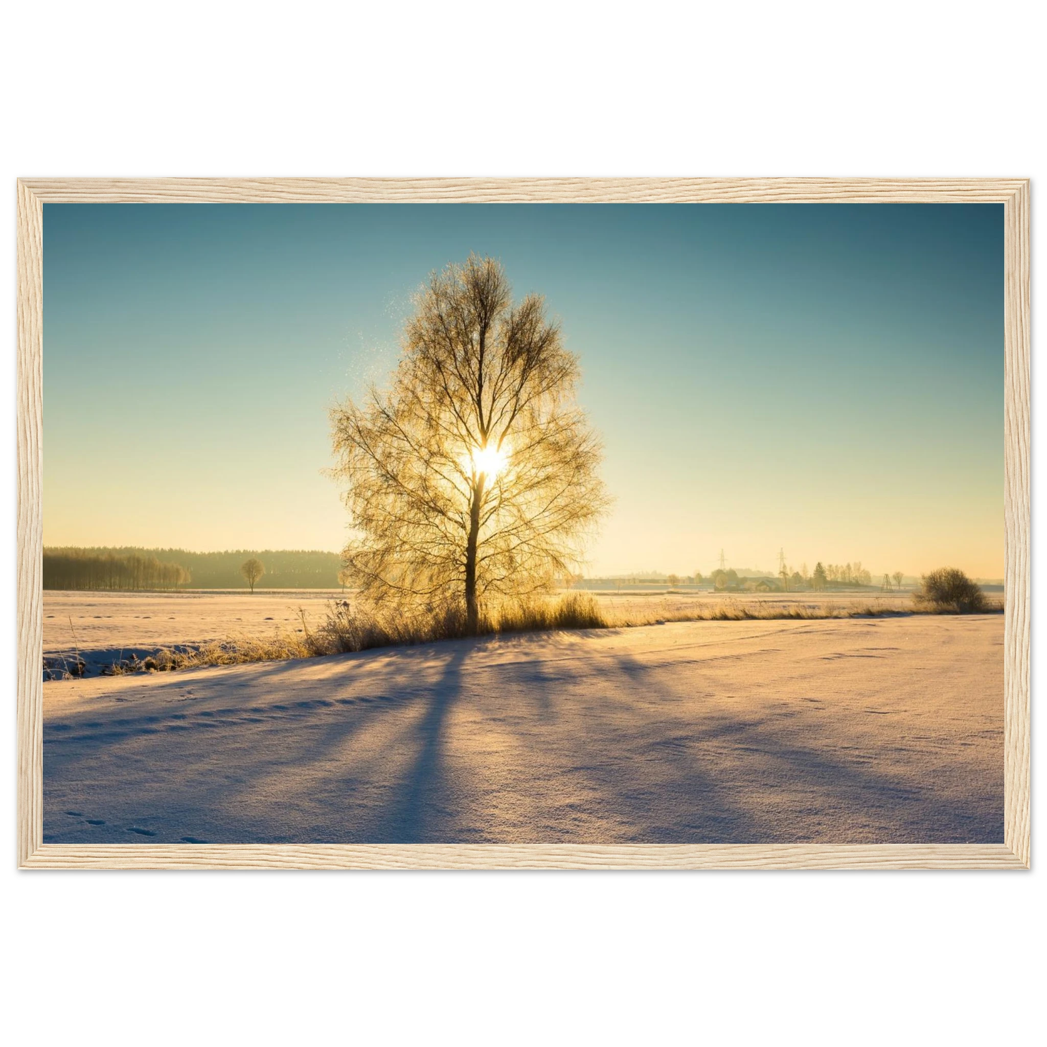 68692062-7057-4f55-bed5-45d3ca5a9c21