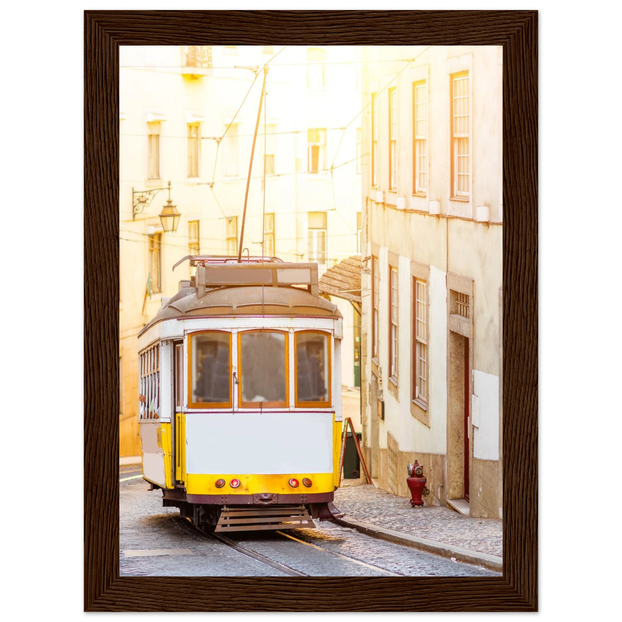 68a2fb36-2515-4d00-8179-f442b9401f39