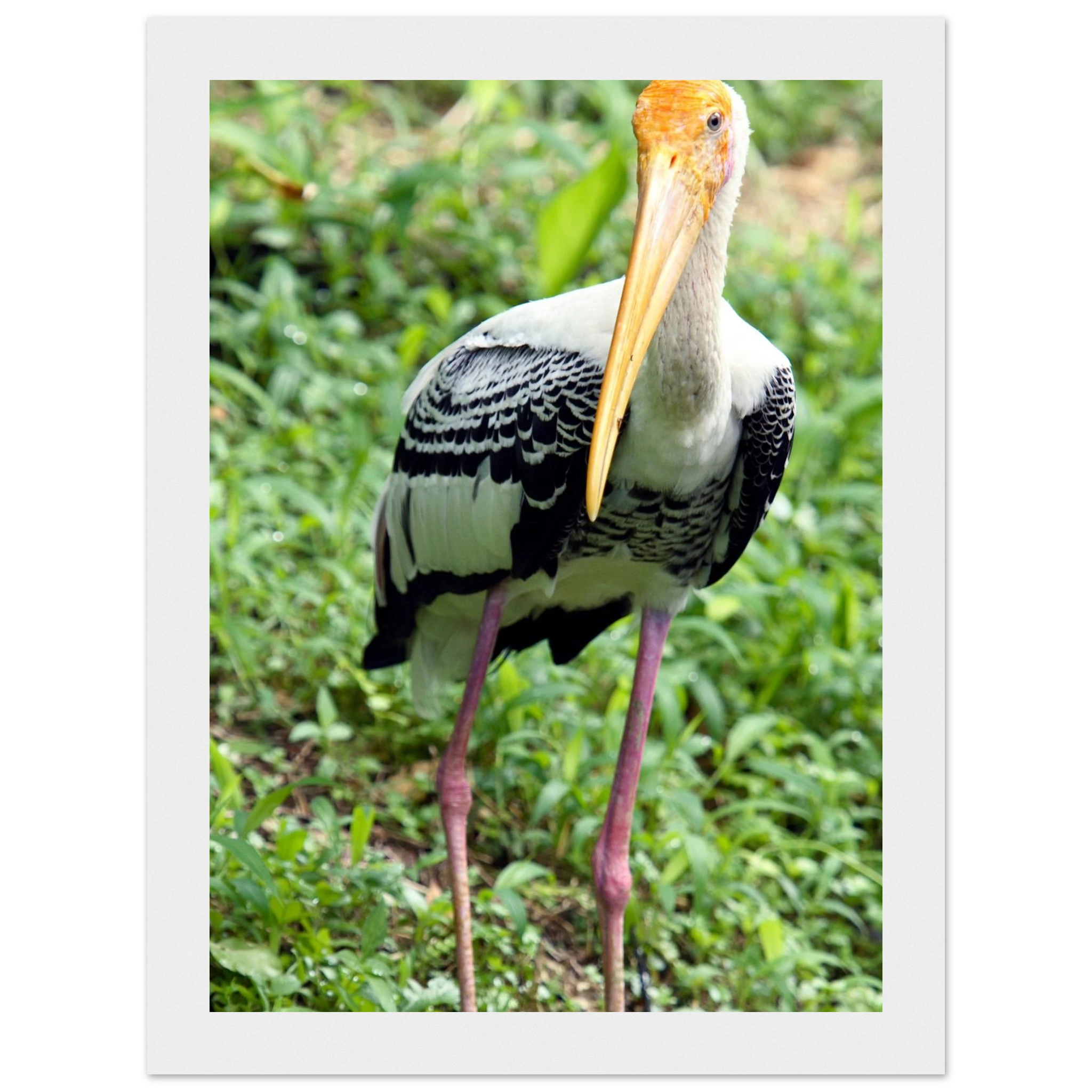 68ab8265-2369-4b90-b19e-11fe00a0579d