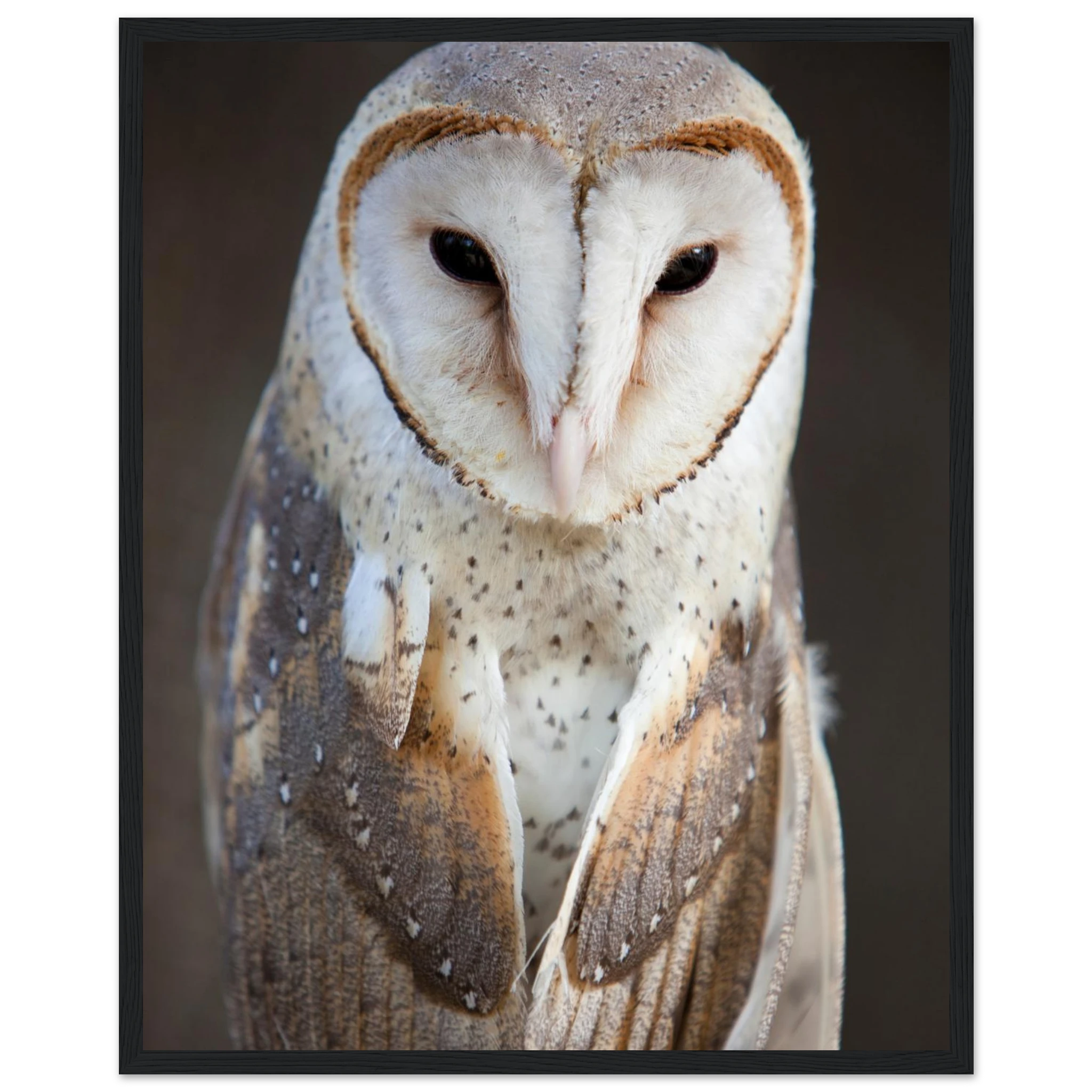 68cc3871-7f63-48ab-a31a-547bed707483