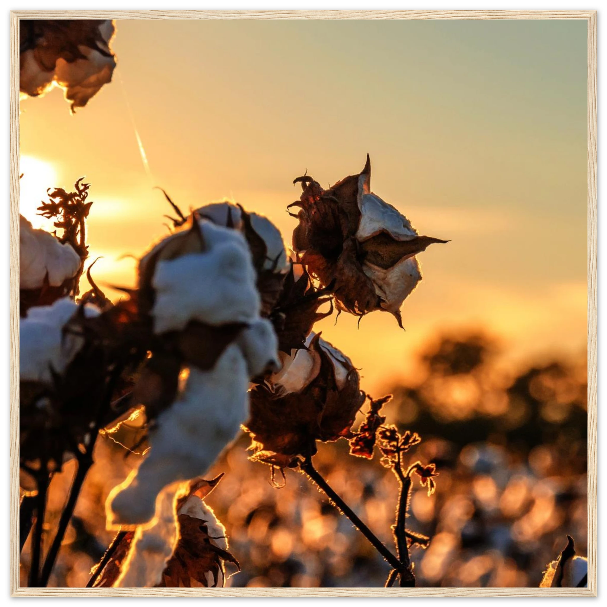 68d4dc54-a5f7-435d-8ff9-a4abafd123ff