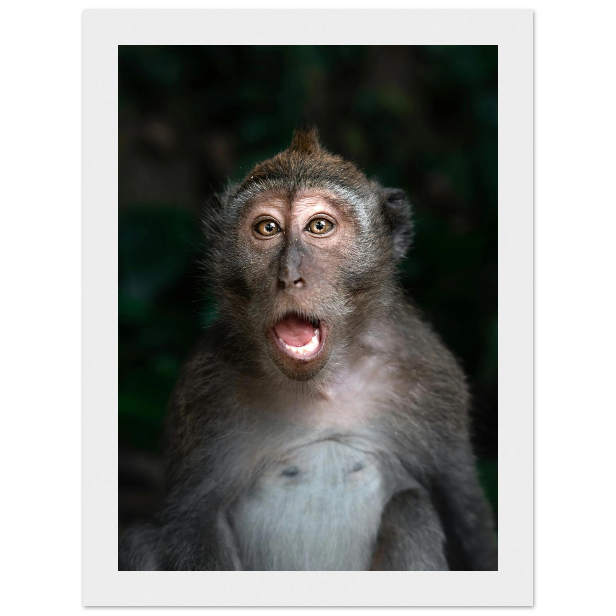 68fbd96c-0768-42d8-ba6f-6703a1f46e82