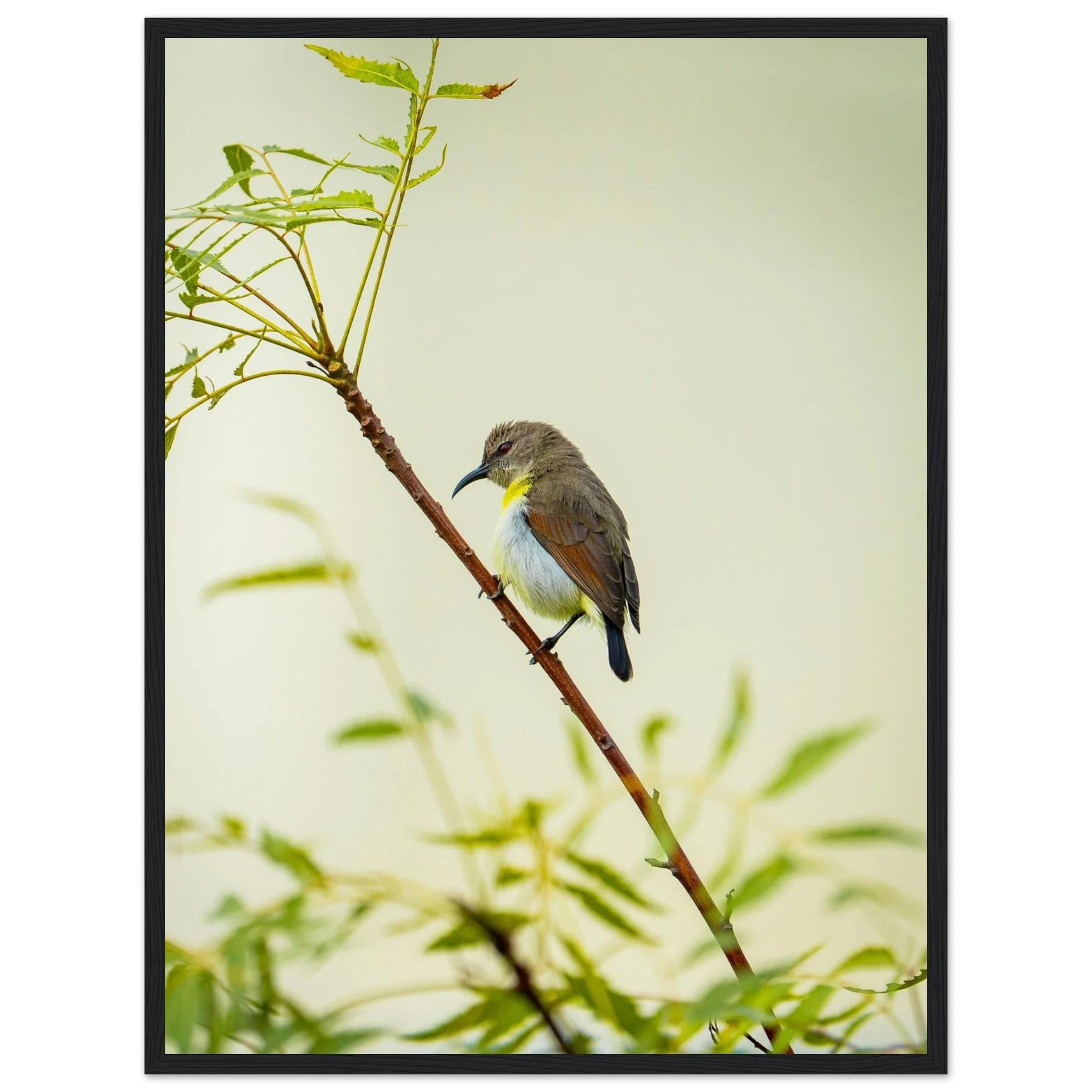 68fe16a0-7c94-46dc-a7d2-cdbd4ffa2da7