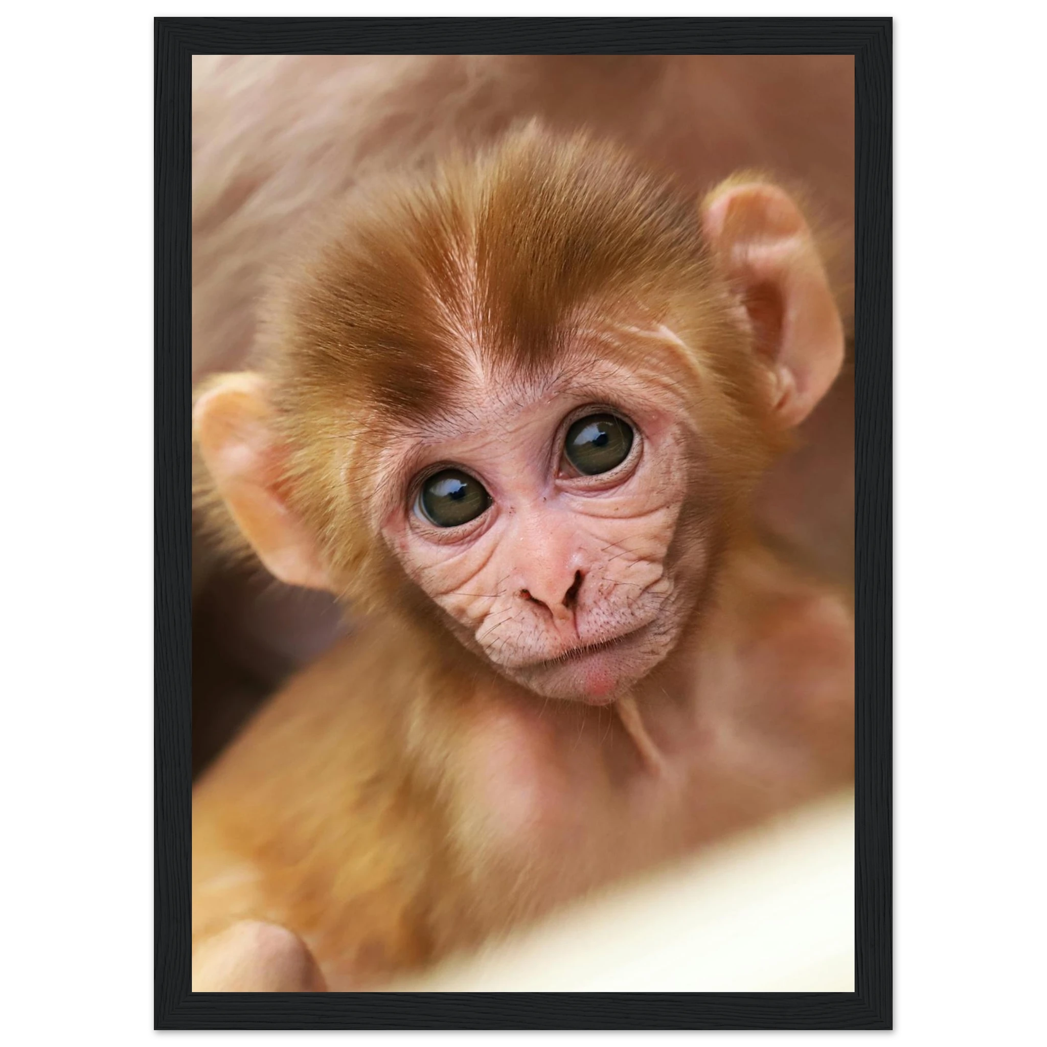 6906ee5c-20be-48b6-ab1e-9d24d94e5767