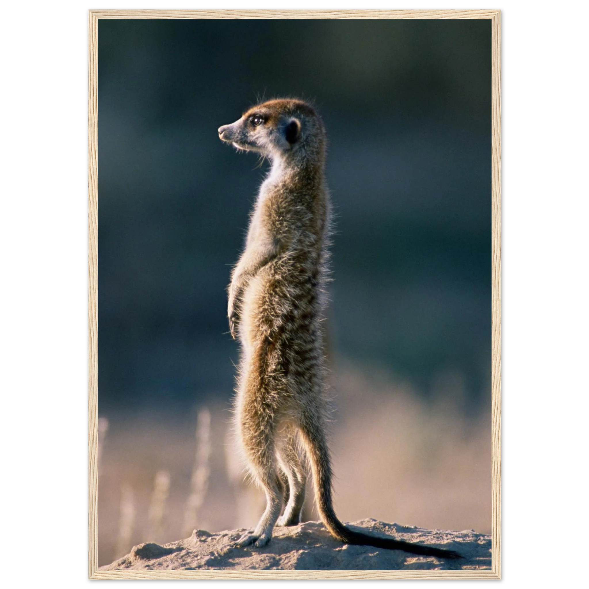 691213aa-e0b1-476b-8f17-486b58ff3ccc