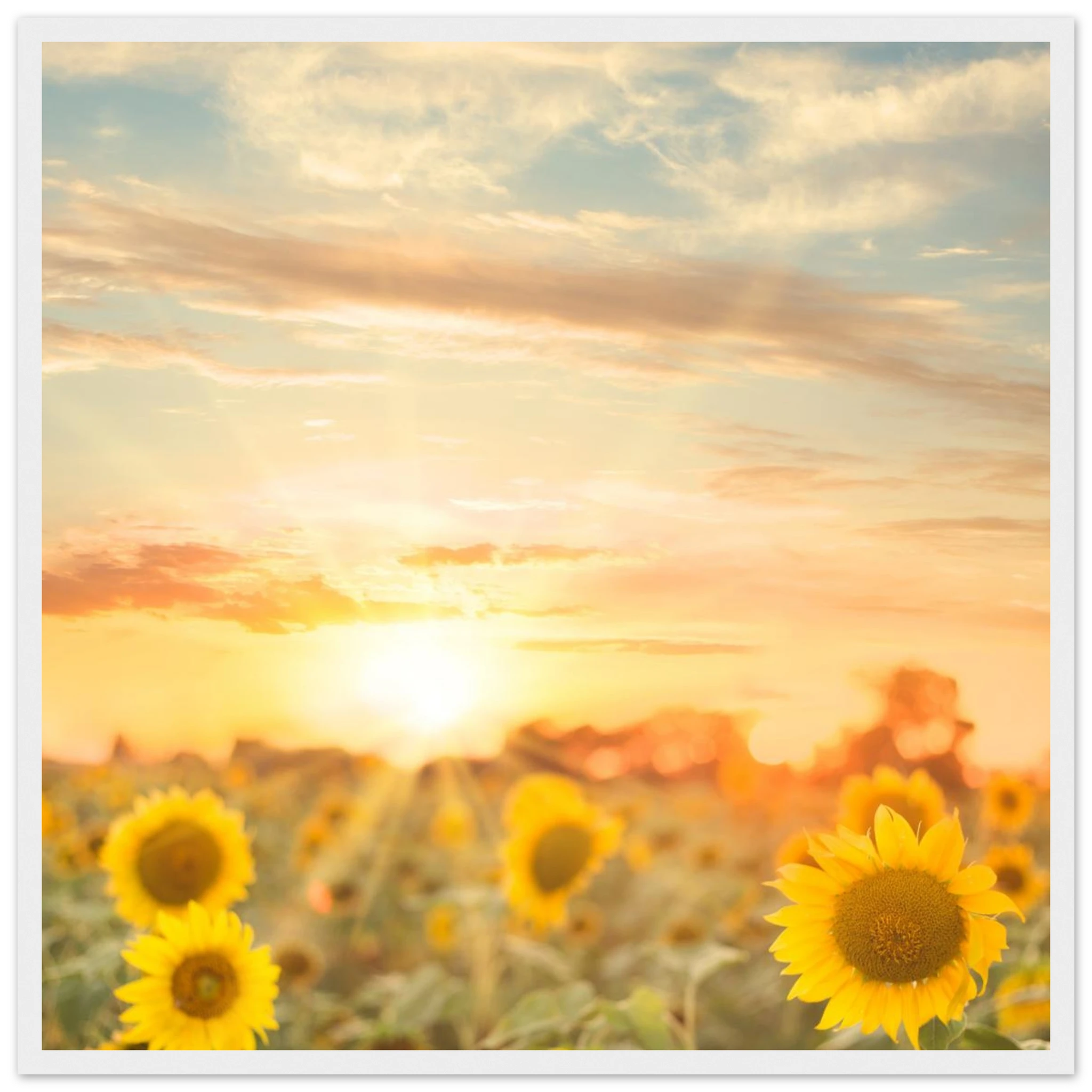 691a08dd-f870-472b-9e45-a0fc2a7e51f4