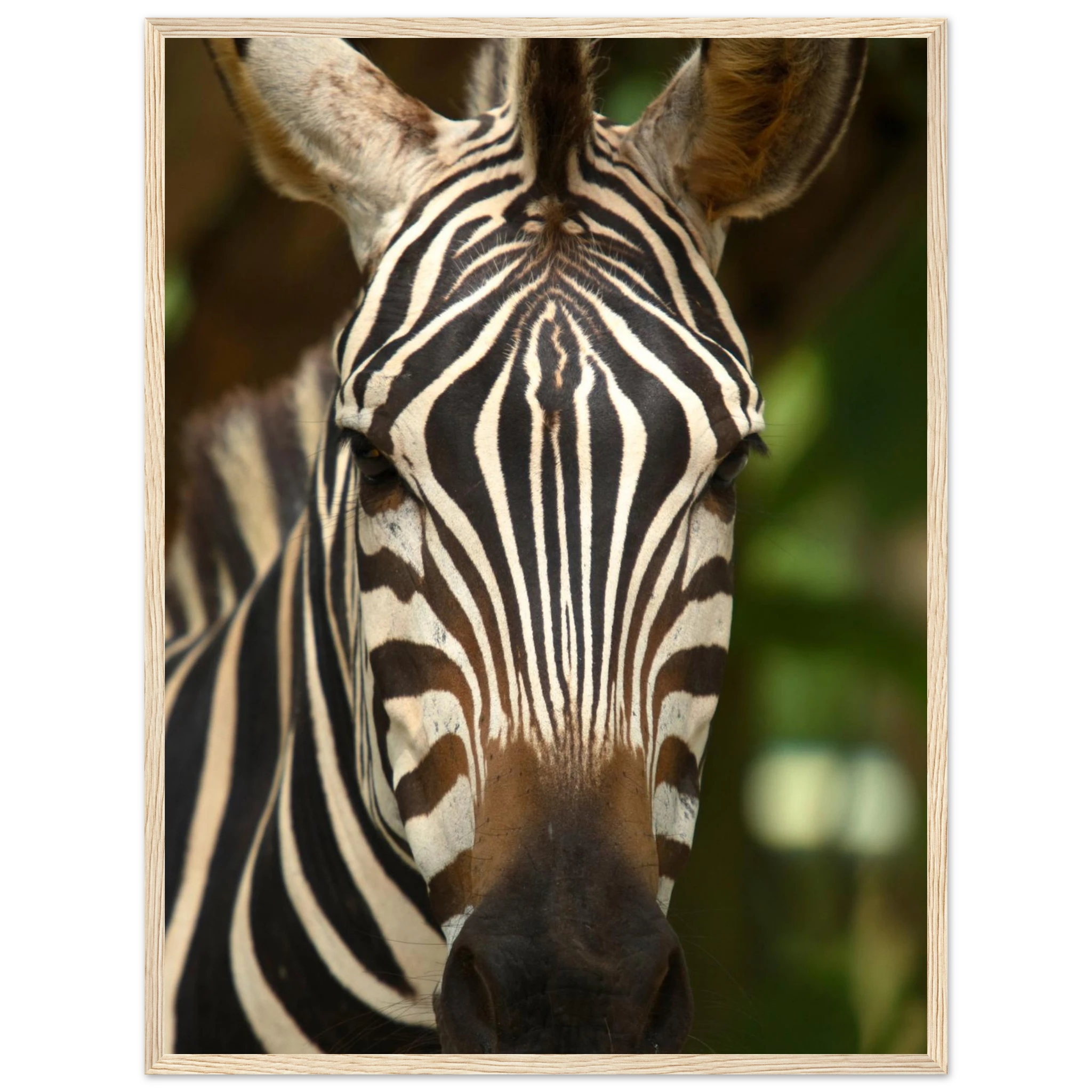 691c0de7-f5e2-4034-9a09-138afd88428b