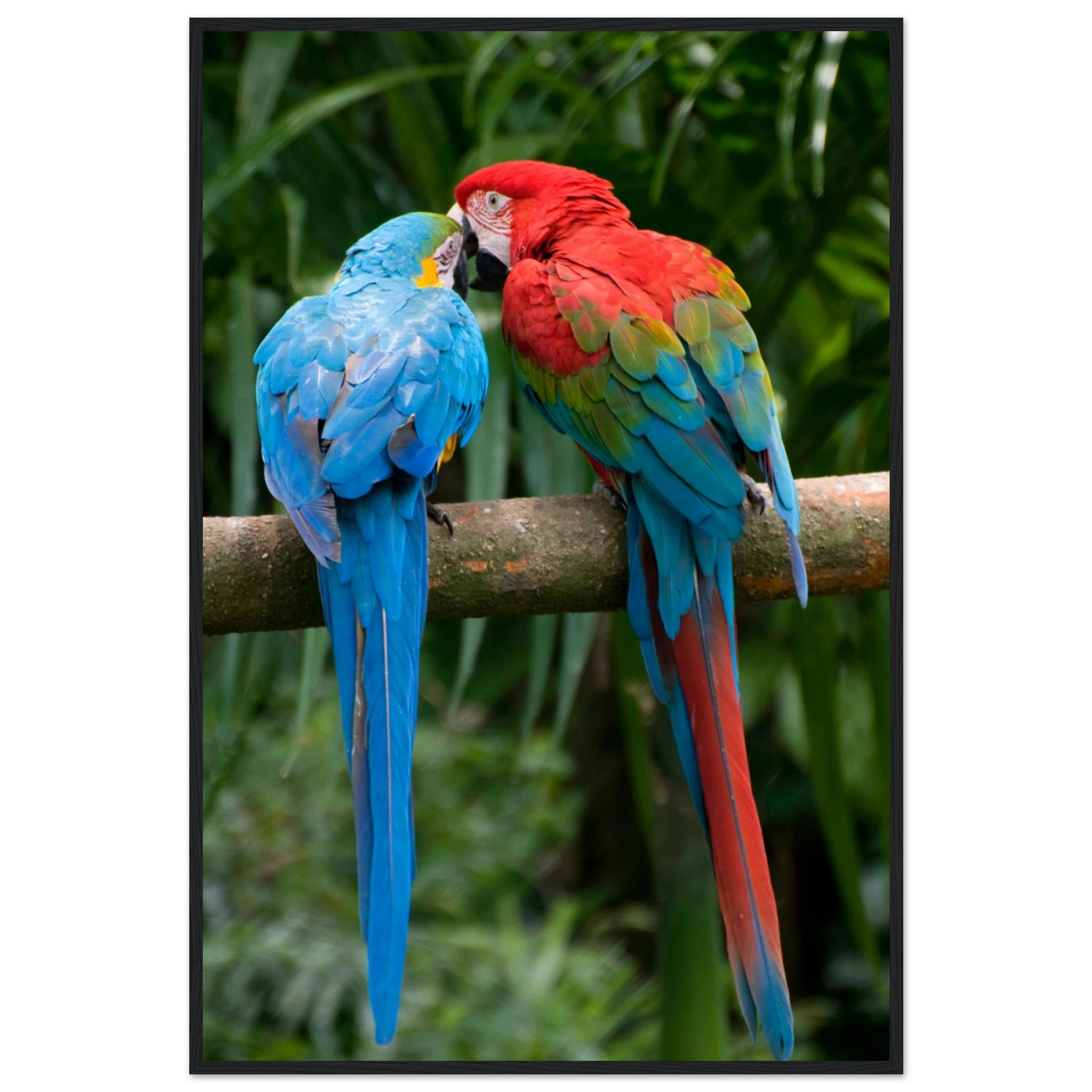 696bb6eb-b7f7-47d0-9b1c-db0b040a0563