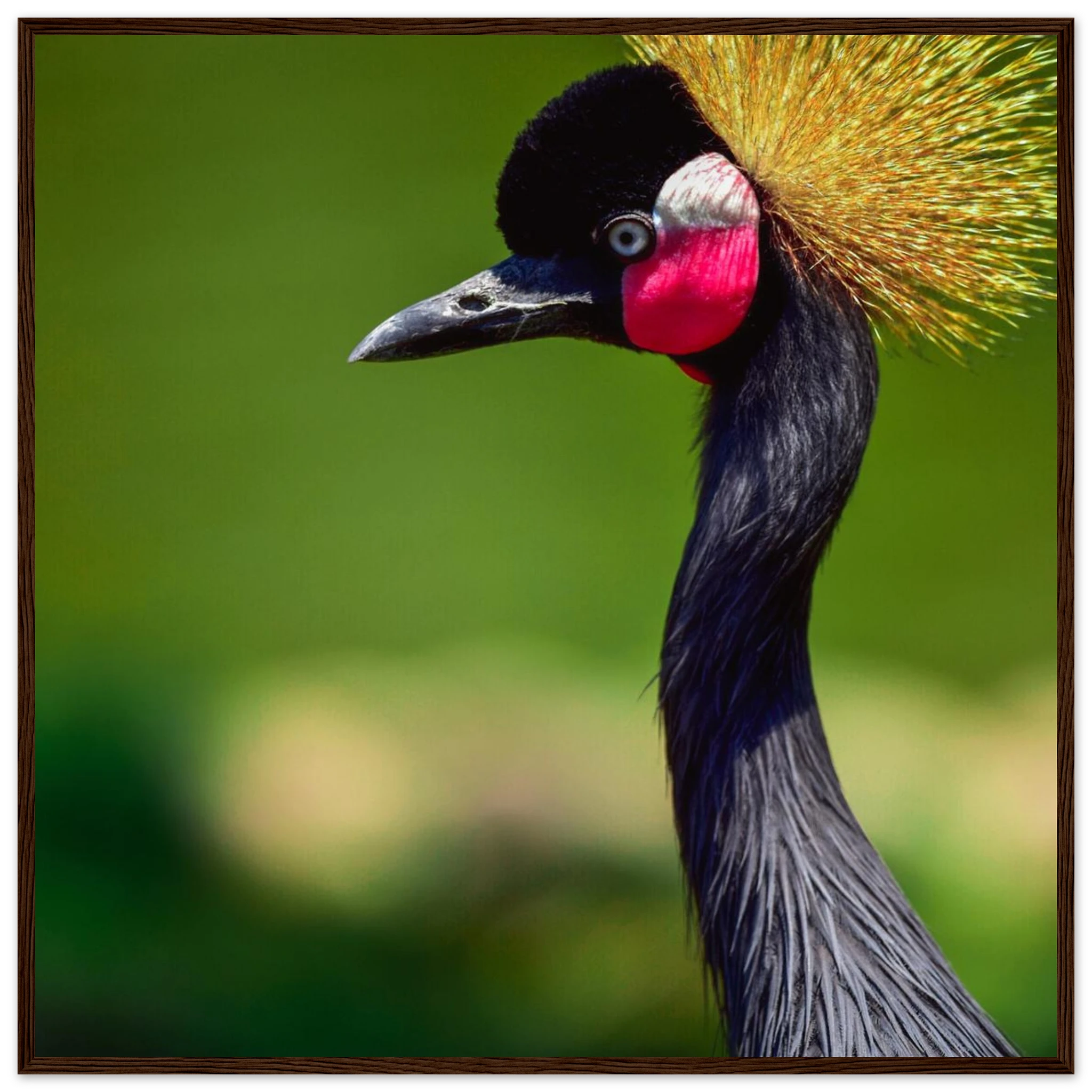 6986a785-44c3-4c5b-90ea-bfc1d12e6588