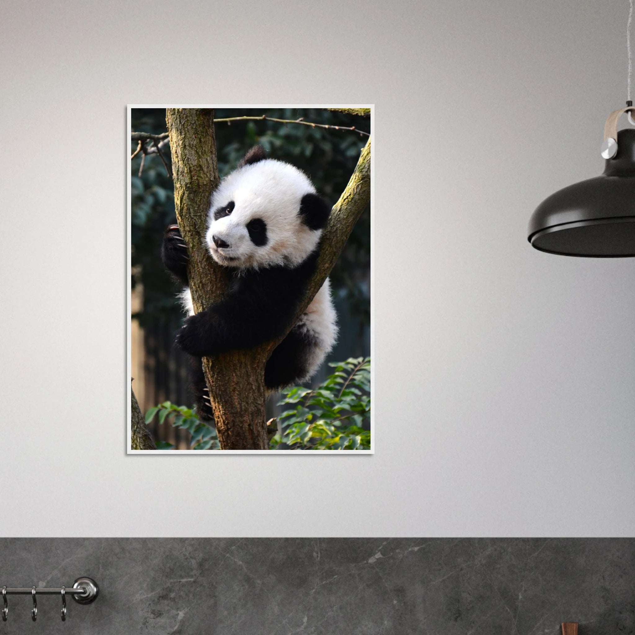 698b09e9-21fe-49f5-a511-4aa47b971d59