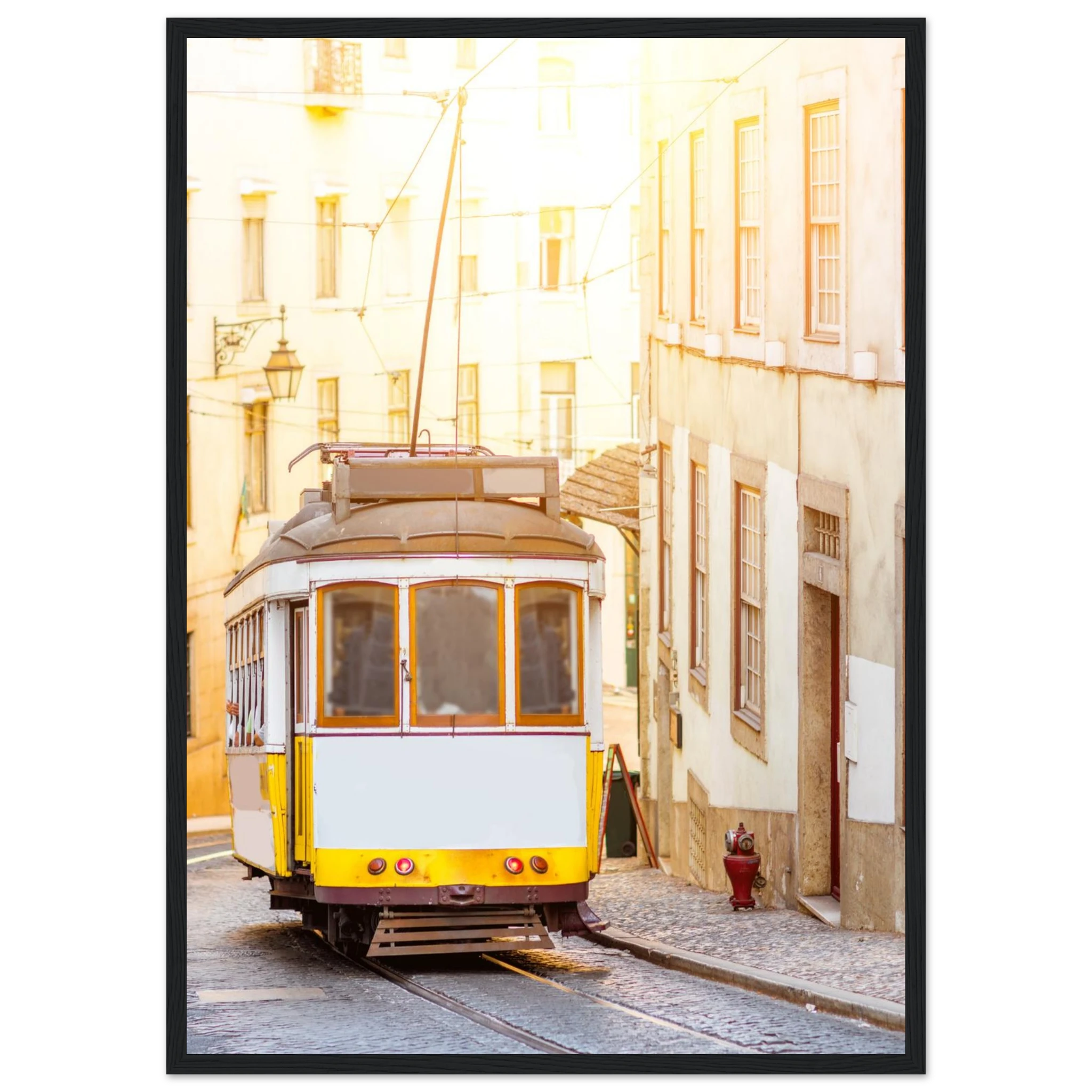 69ca174d-89cd-4906-93b0-6d887c175062