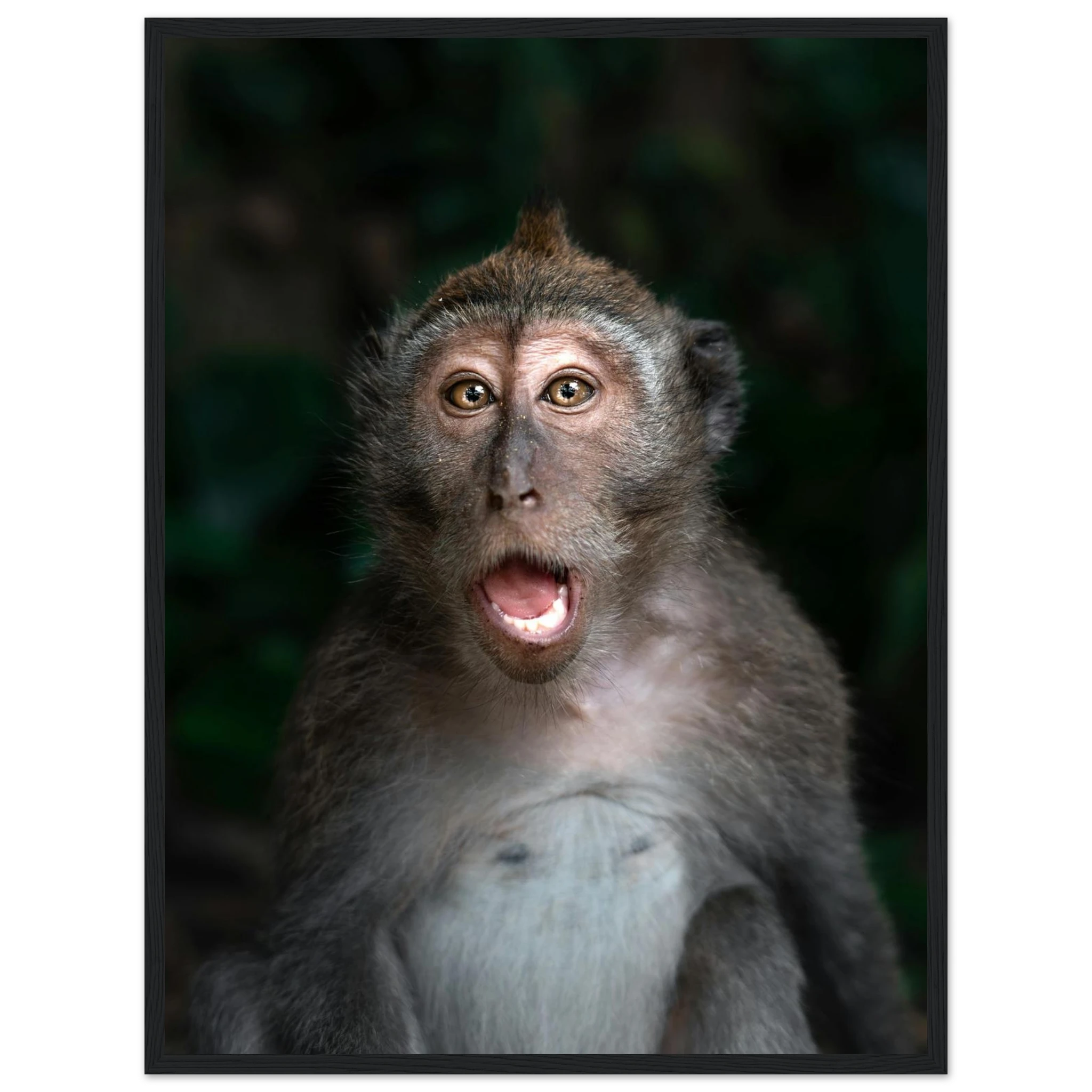 69cd75b2-e981-4a31-abf5-96b24f92f5c8