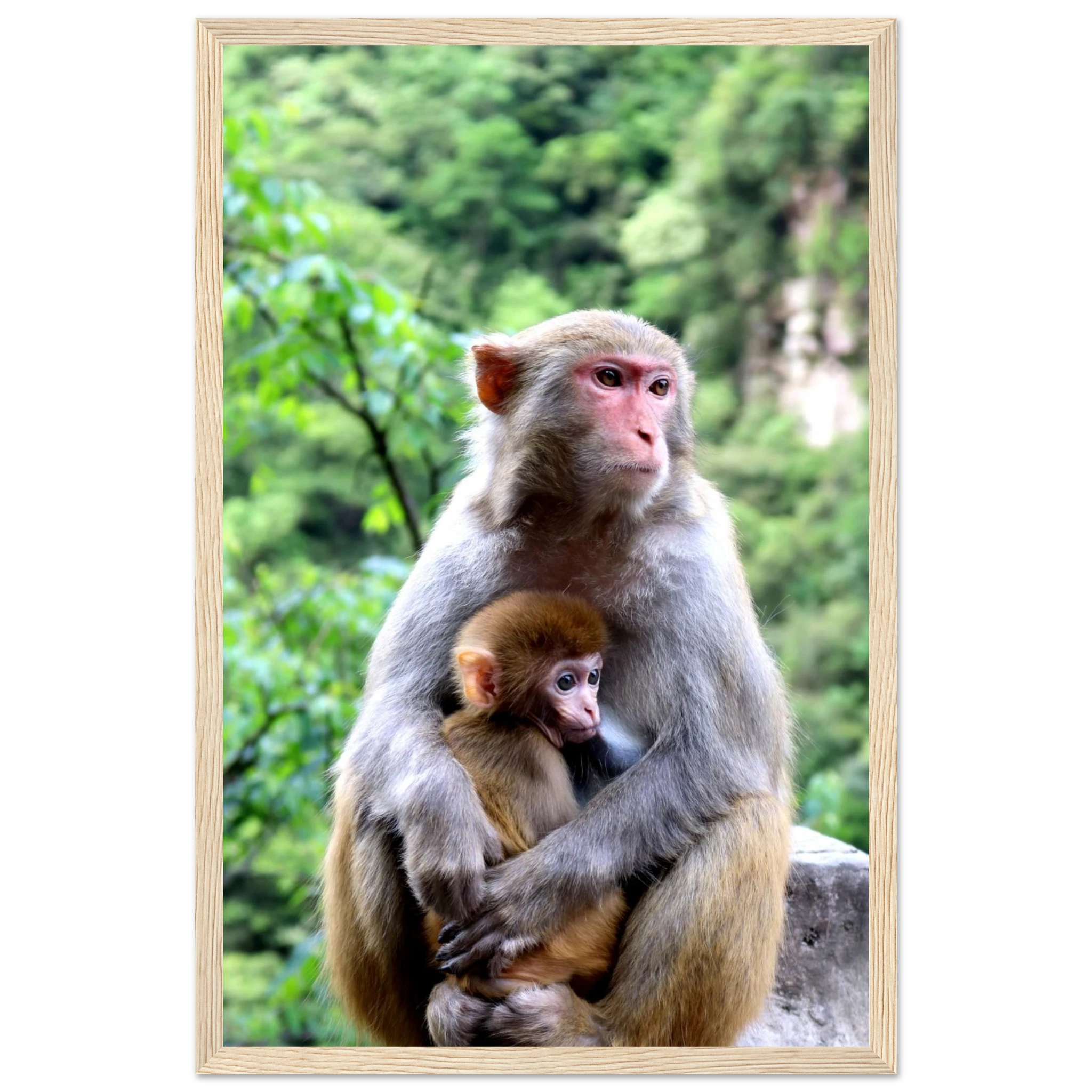 69d7458a-62e9-471c-b5a2-a0108a097eda