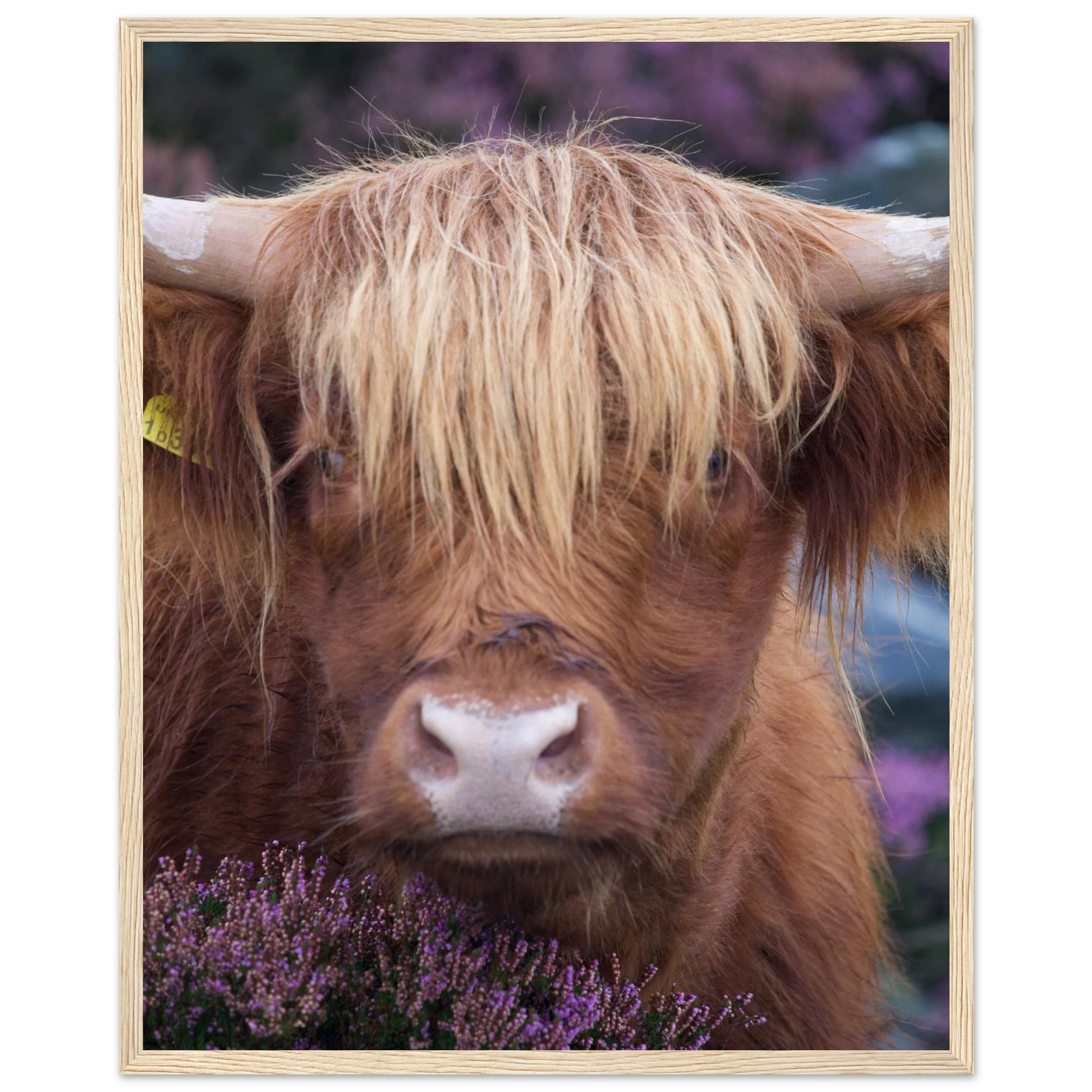 6a0938ee-949f-4d7a-bbac-5d20c239e7f2