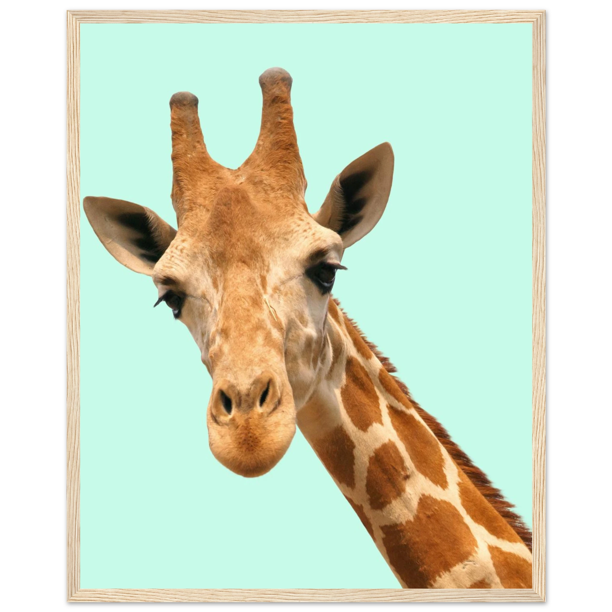 6a137014-75d8-4839-b1bd-5f979d8e4bac