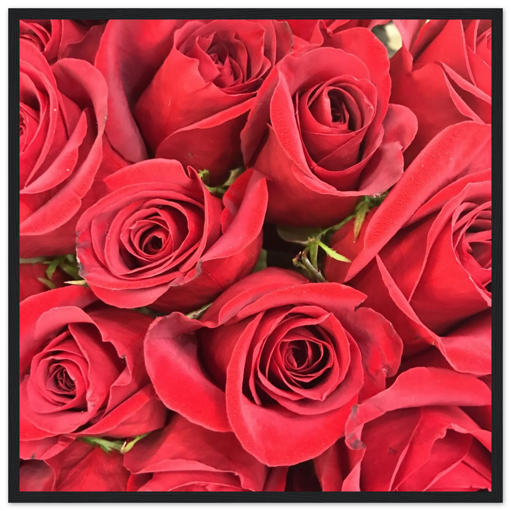 6a2e3dcc-cb87-4249-9f10-cbb624cd9e38