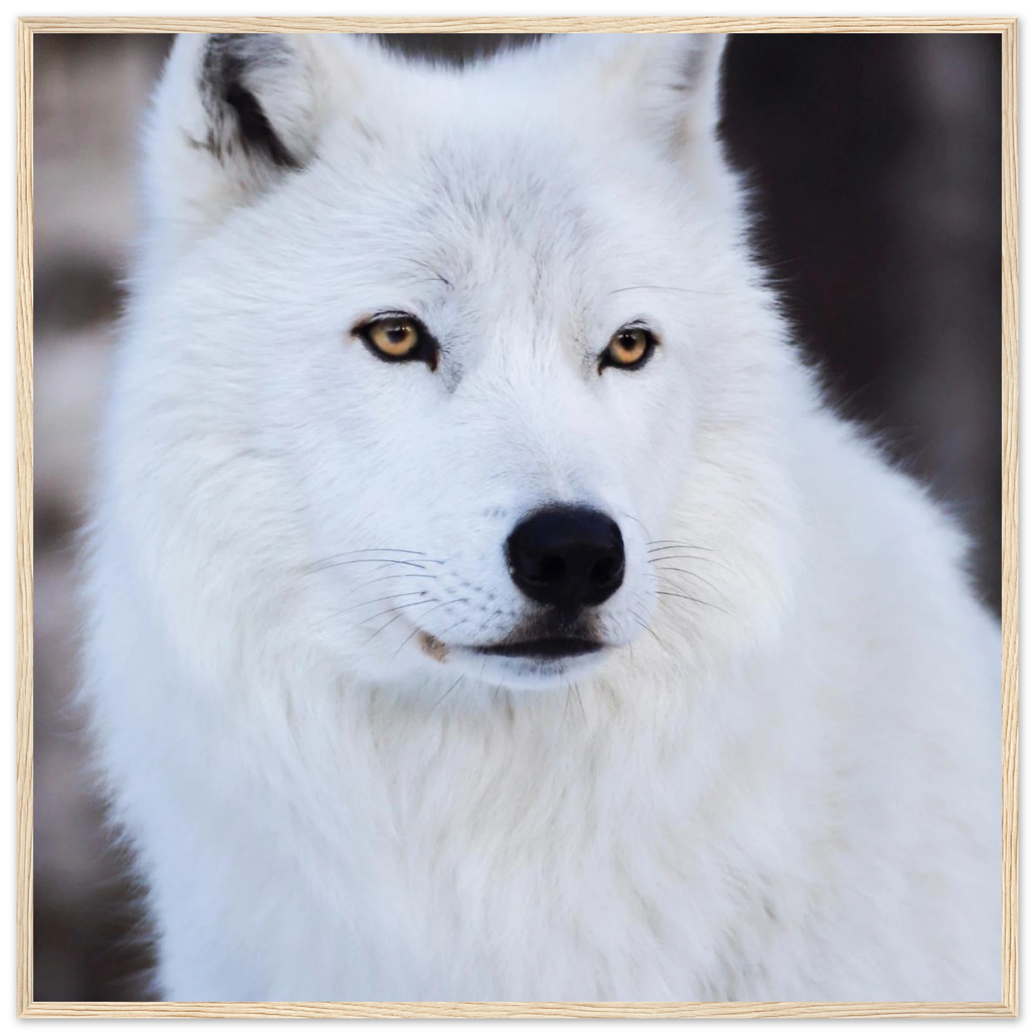 6a2e6f4f-f414-4b0e-a4e0-f475fdf965cc