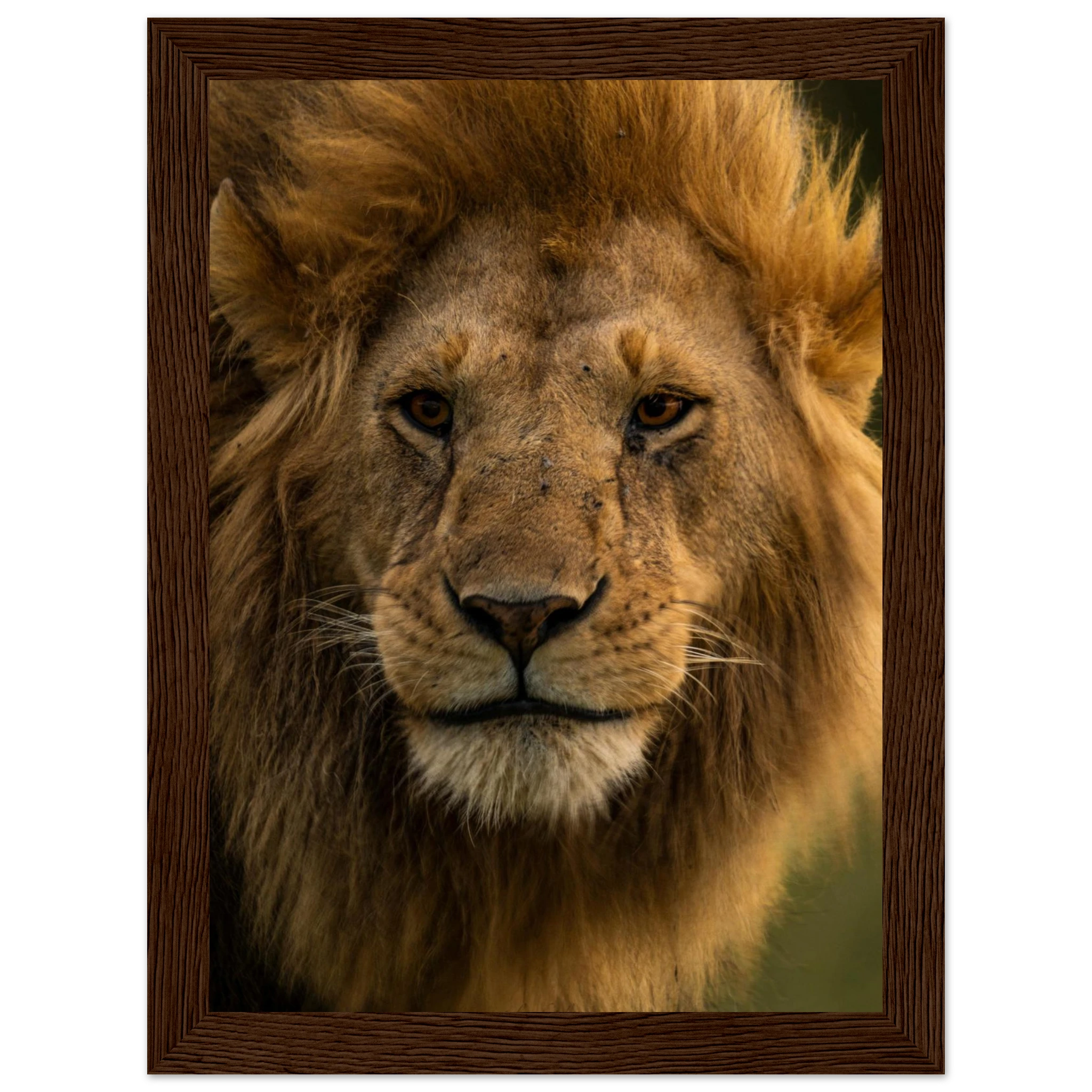 6a31003f-088d-42b5-958a-7c9484510a8a