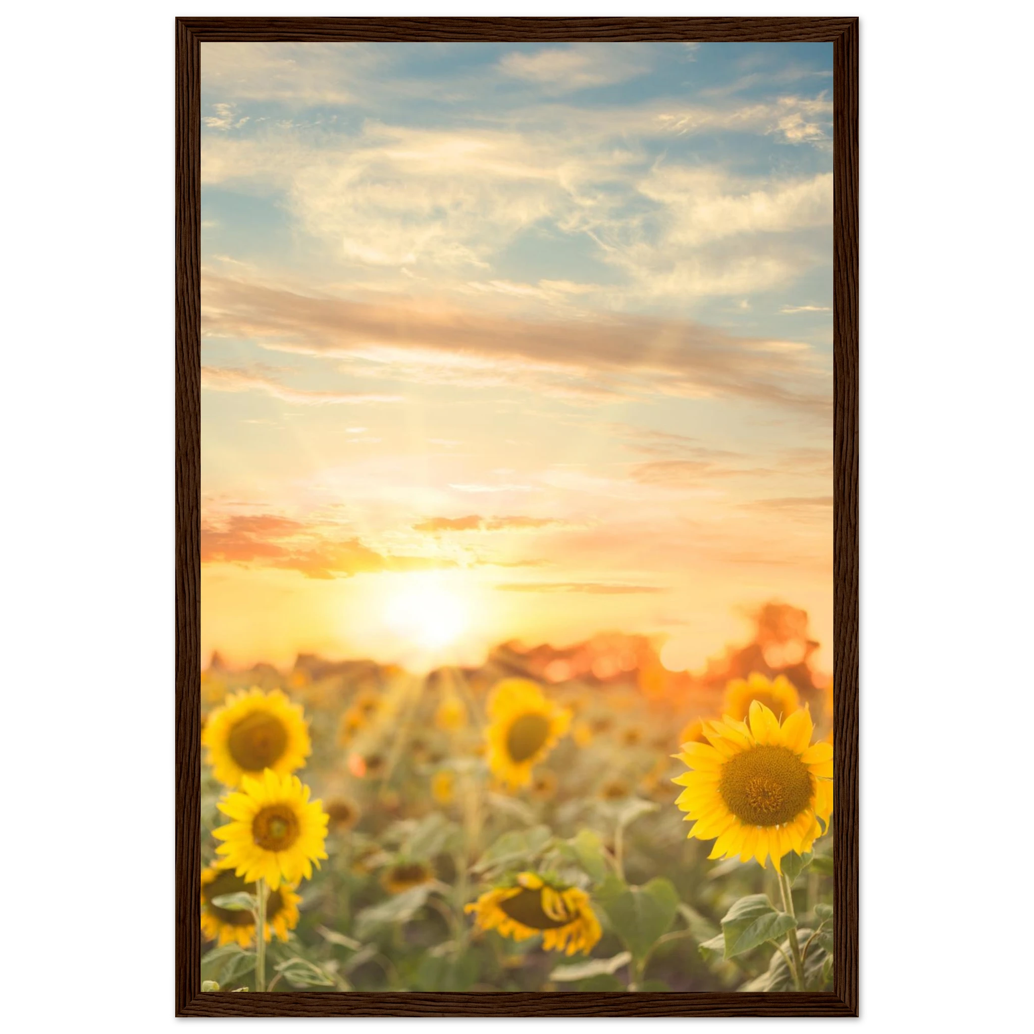 6a4239b5-645c-4869-a059-f2b0363b2add